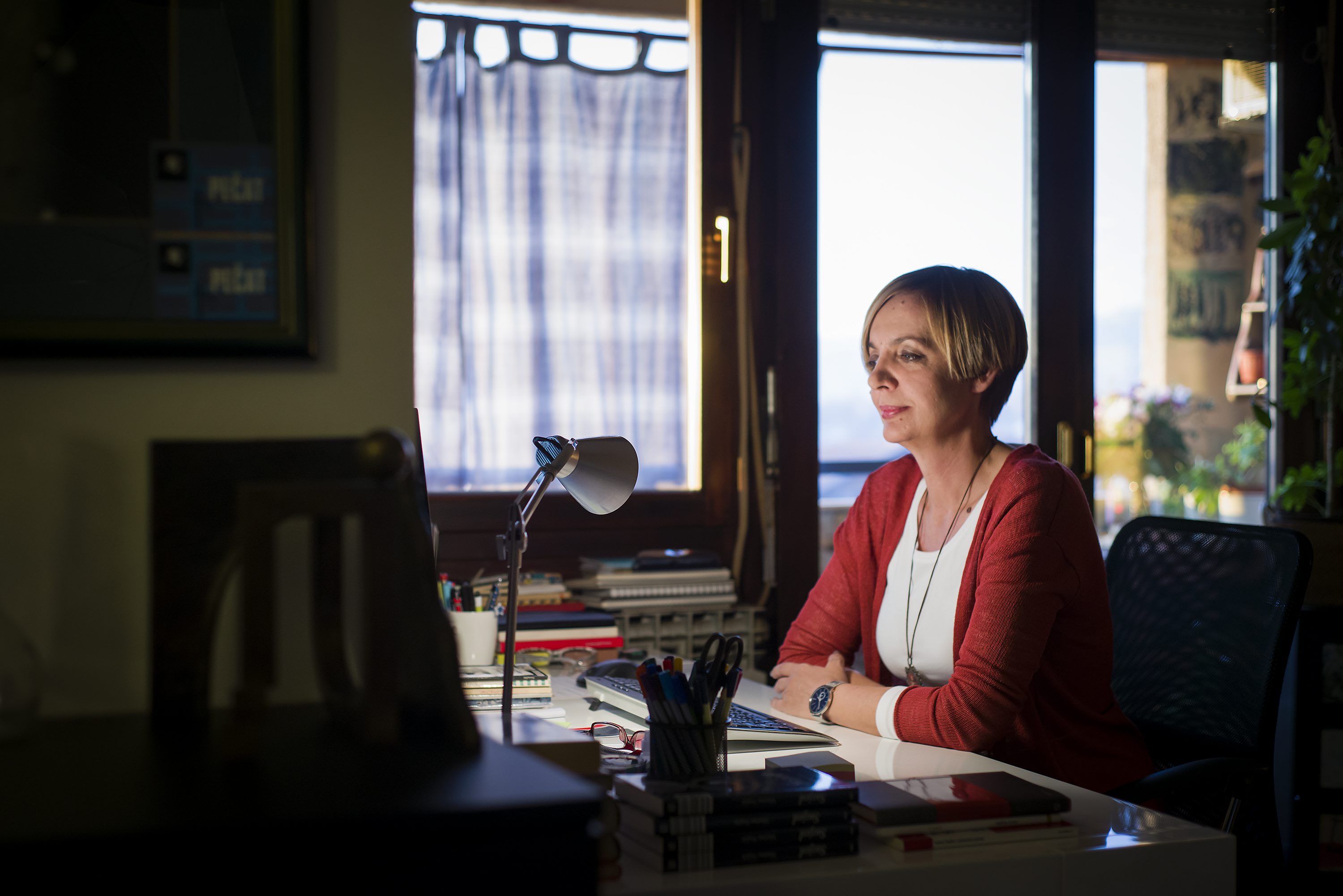 vujcic_knjizevnica-291115