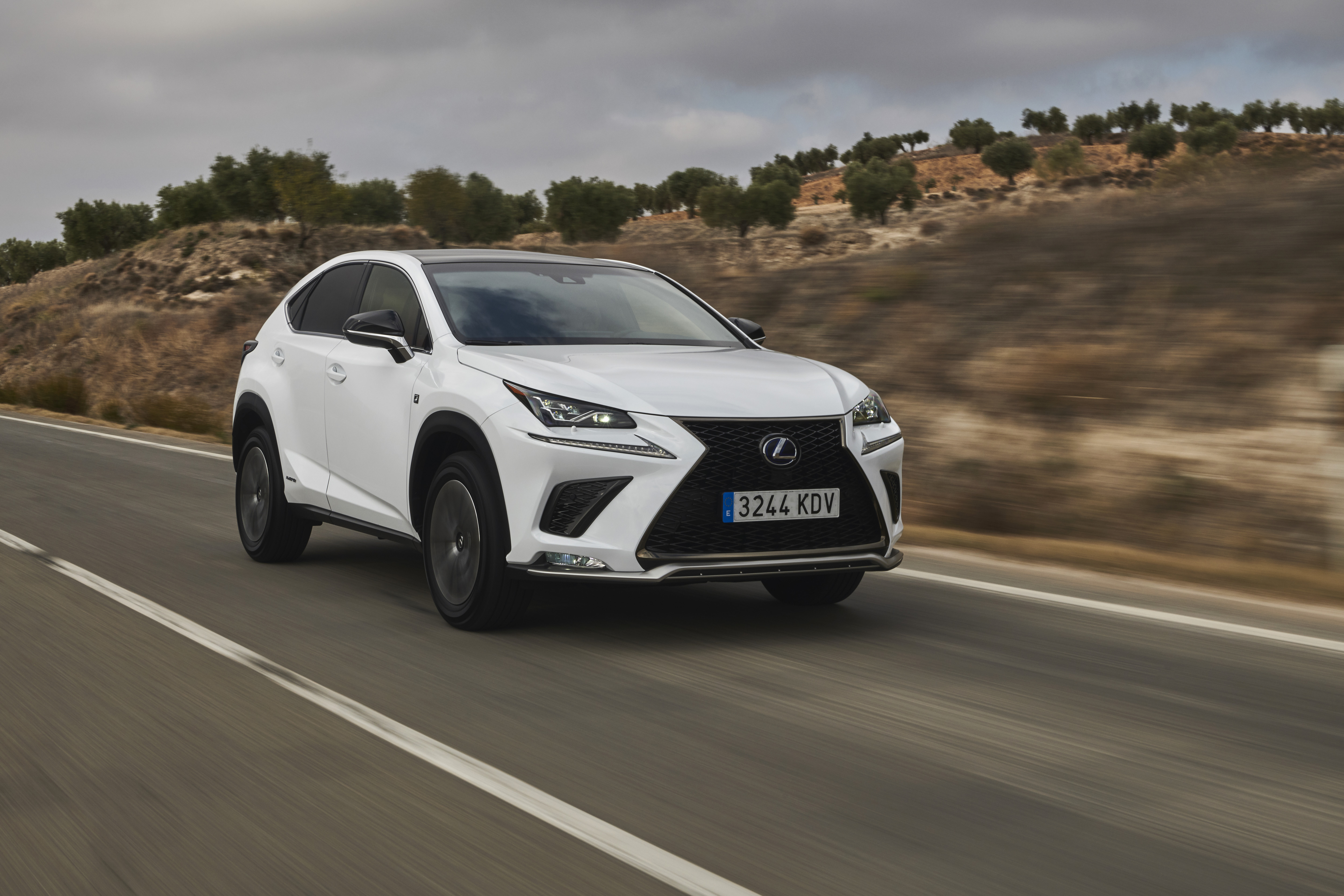 Lexus NX F SPORT Dynamic 7