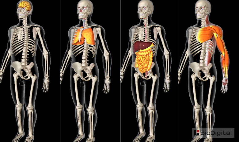 front_pageNEW01_465px