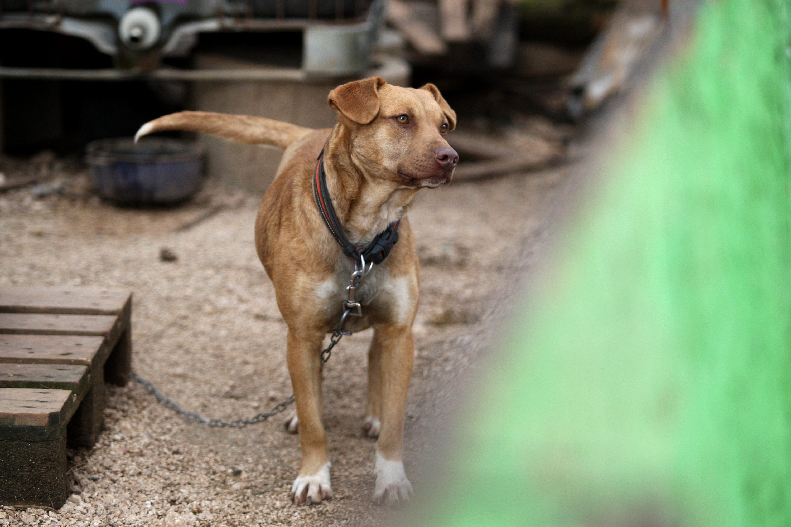 Ilustrativna fotografija
