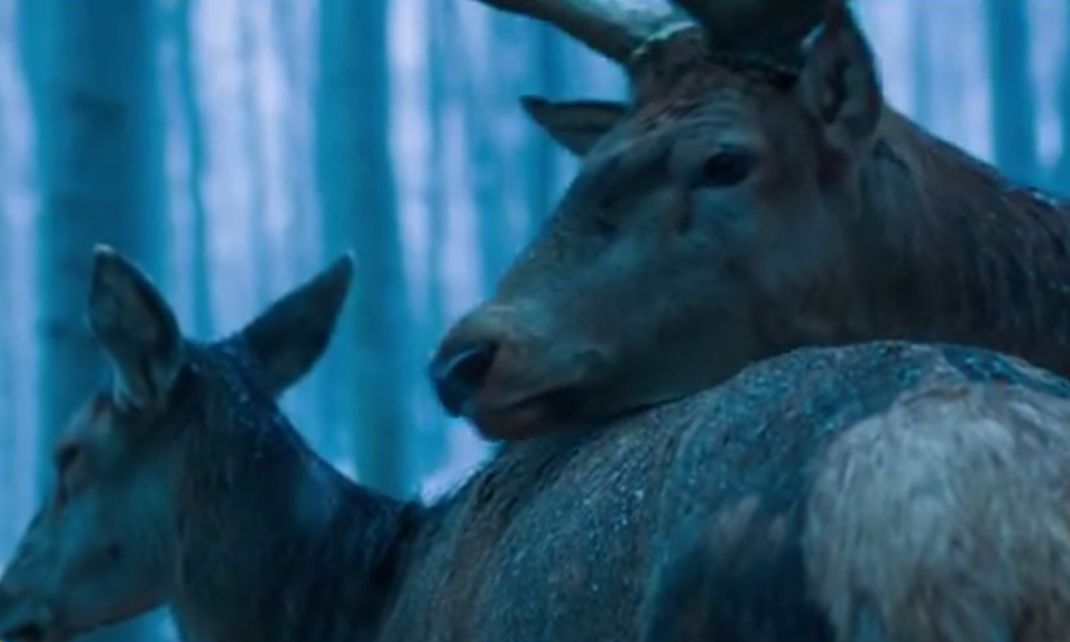 Prizor iz filma redateljice Ildiko Enyedi