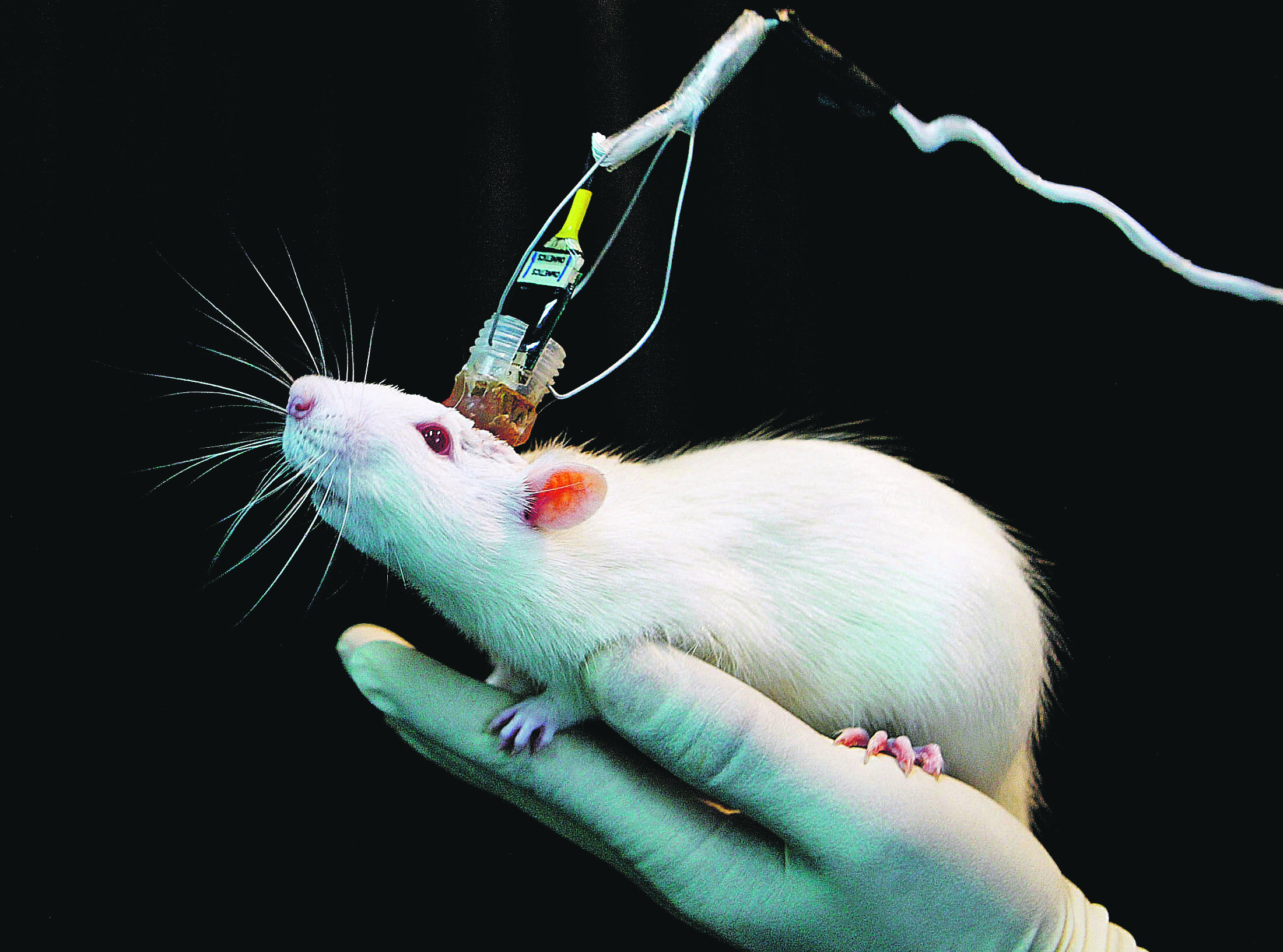 107978-138926-mis_laboratorij_reuters