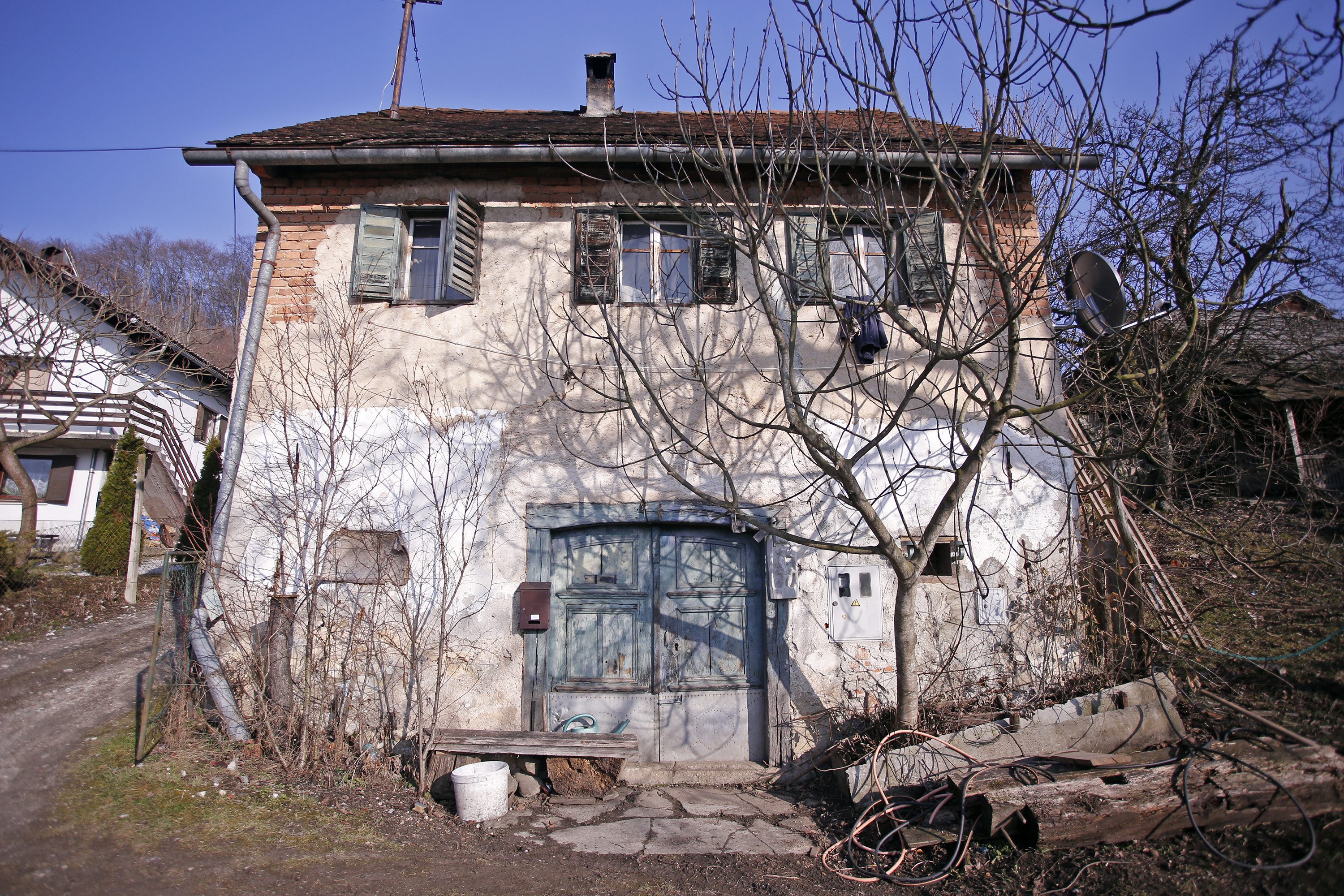 mucenje_zabljek1-140217