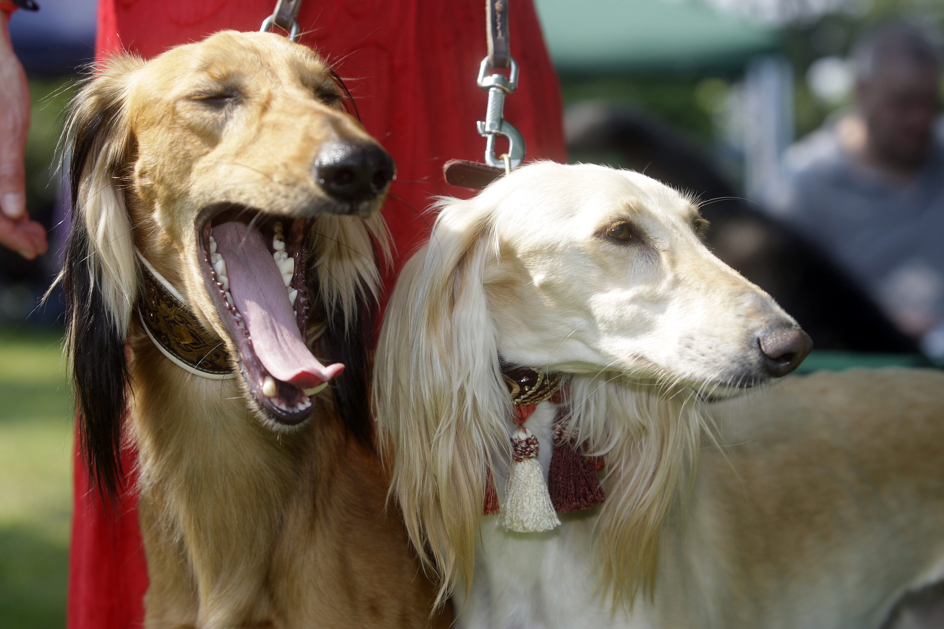 psi_varazdin9-210511