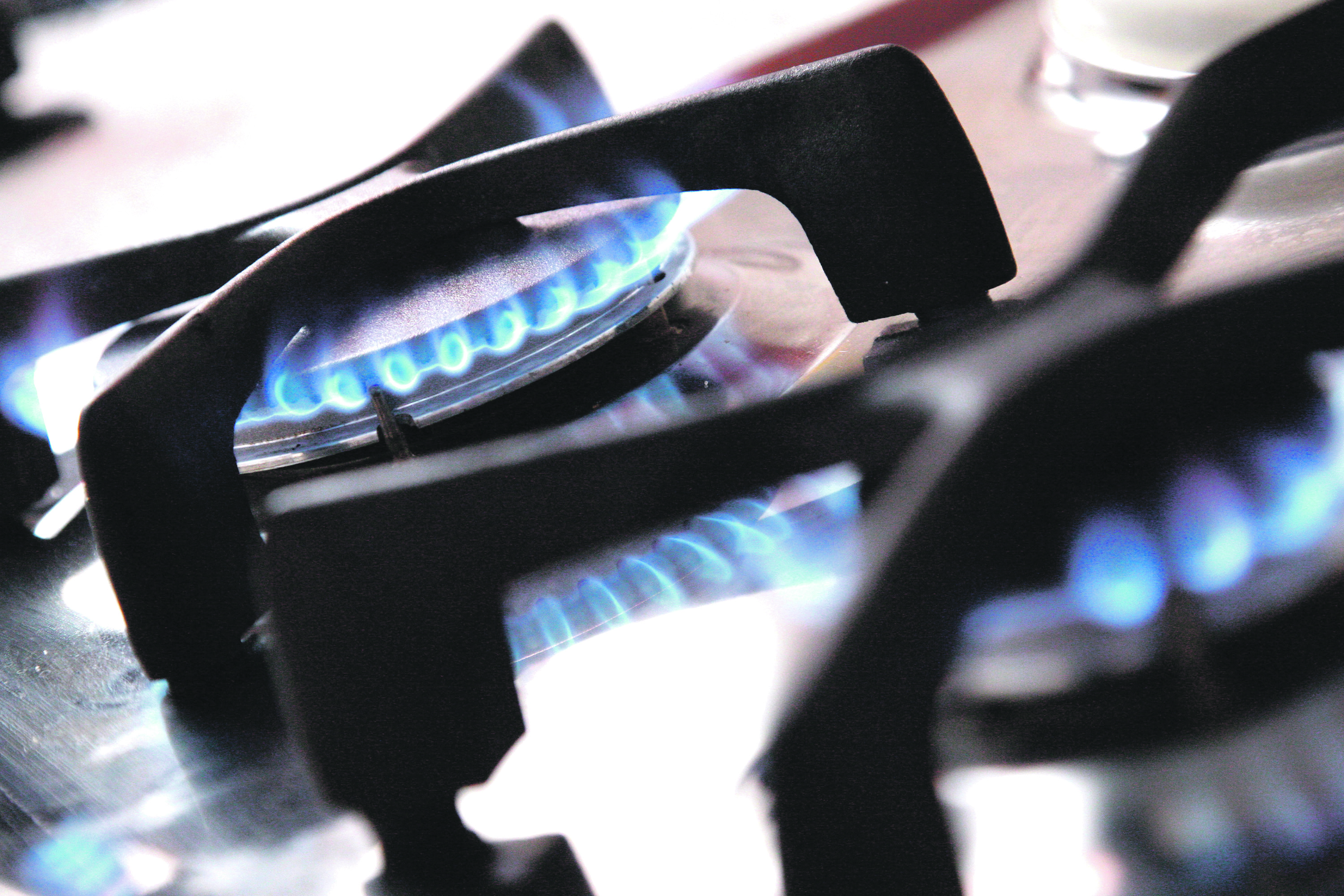 plin_ilustracija7-150112