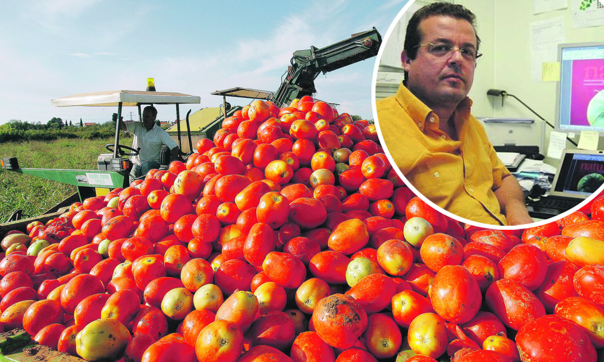 Antonio Granell, istraživački profesor iz Španjolskog nacionalnog istraživačkog vijeća