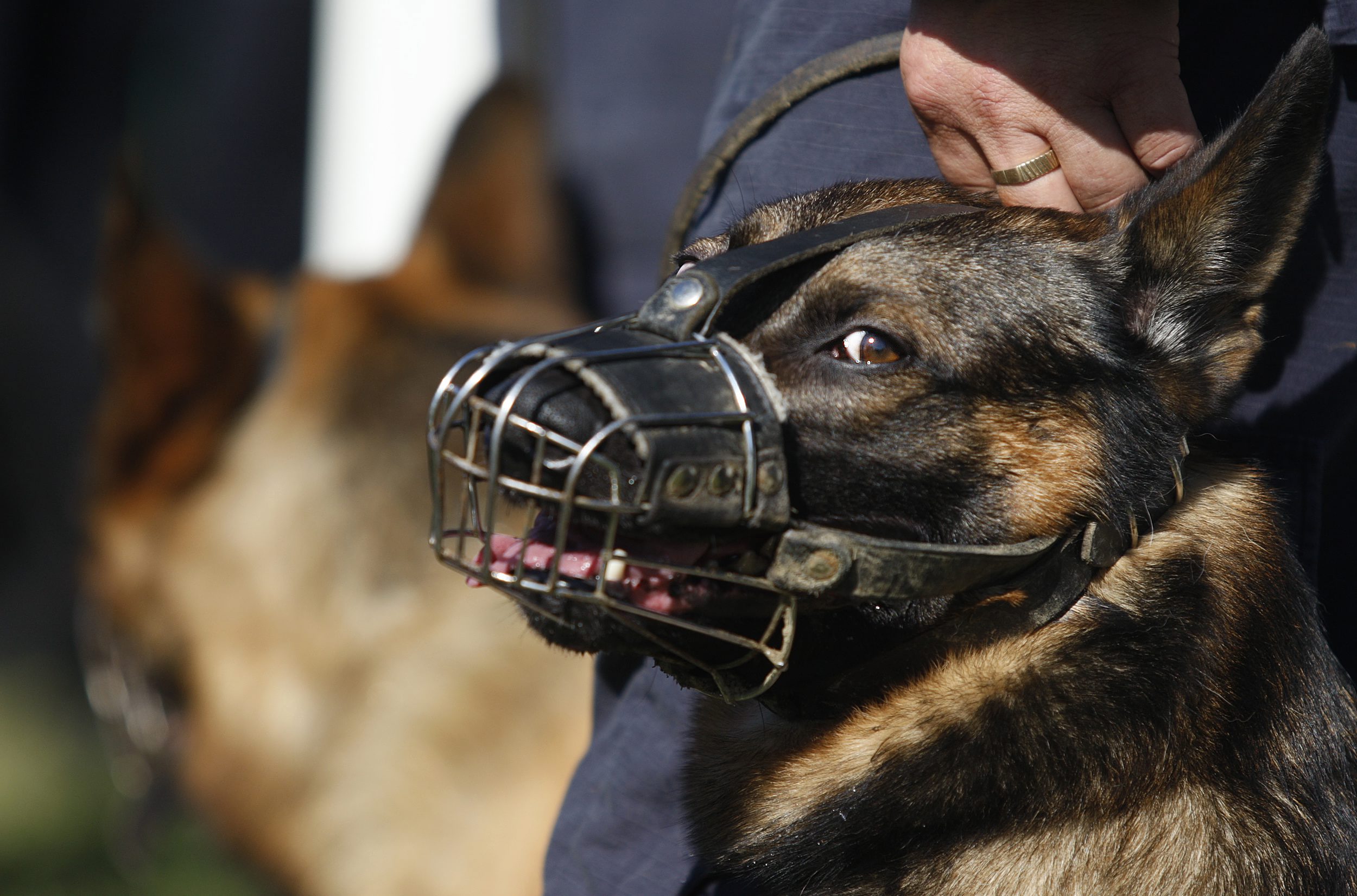 dan_policije7-300907