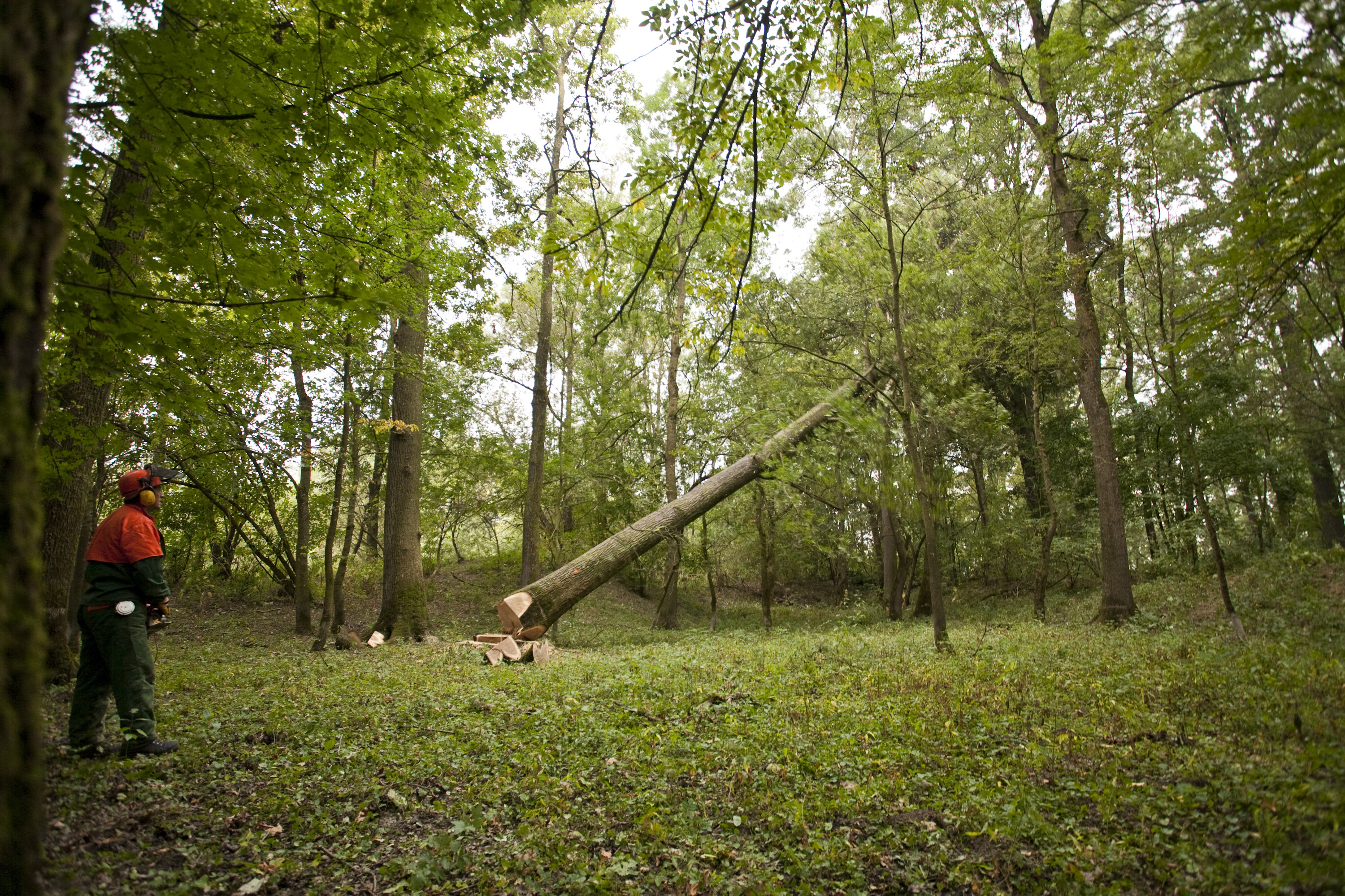 Arhivska fotografija