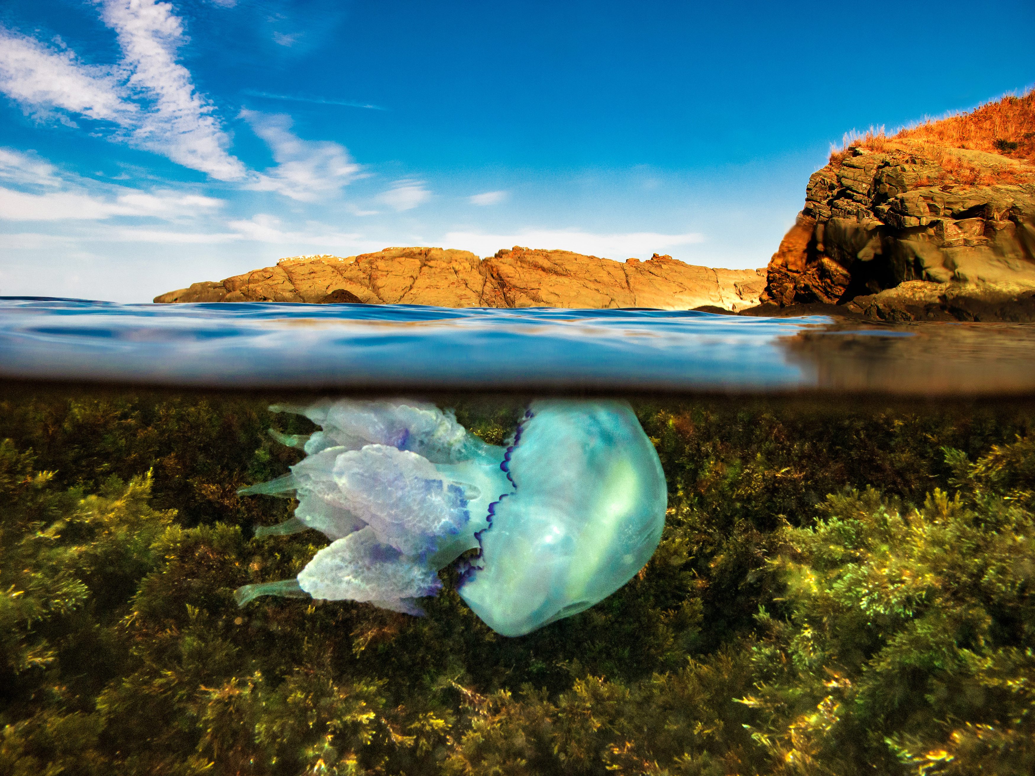 uw_photomarathon21-090317