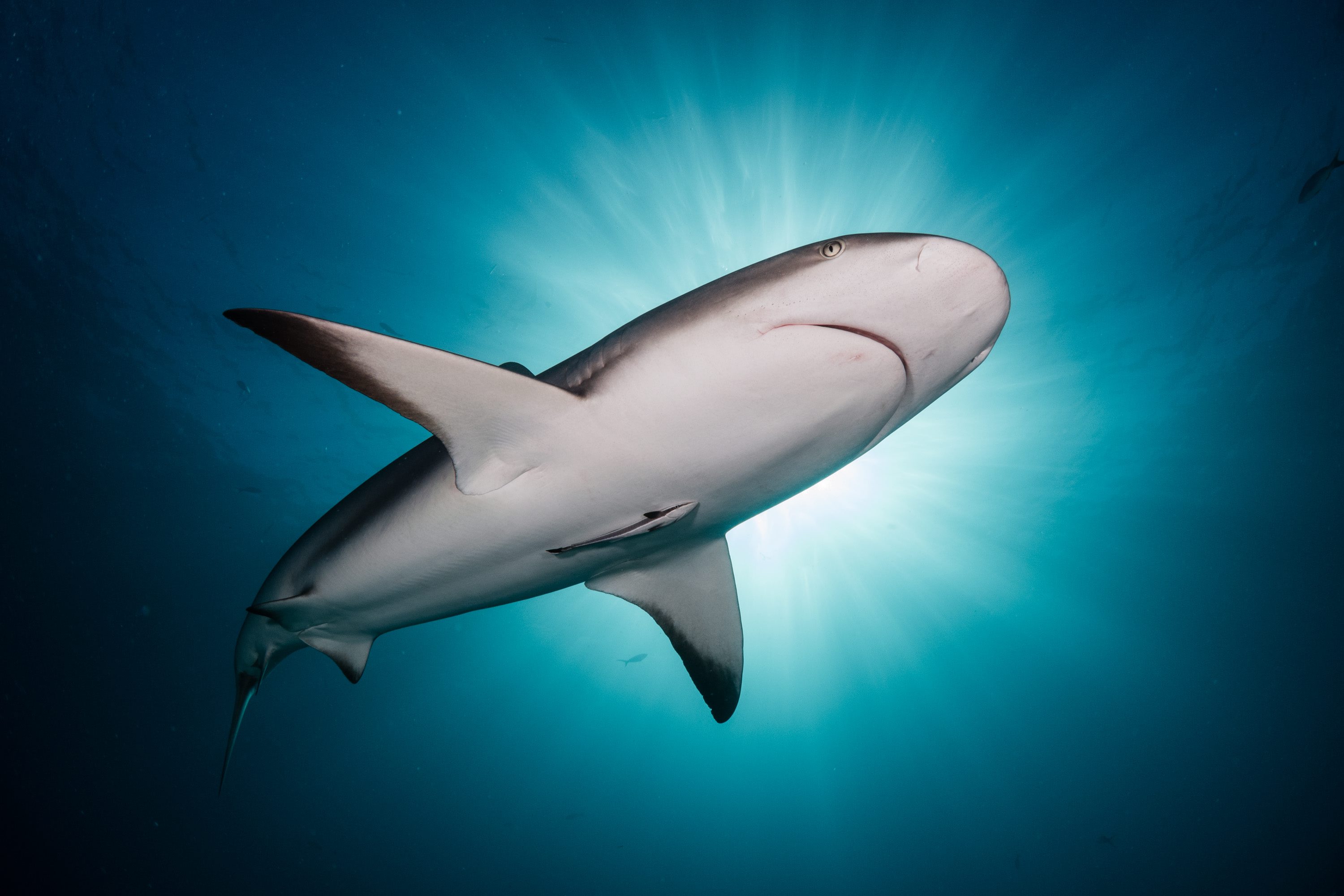 uw_photomarathon29-090317