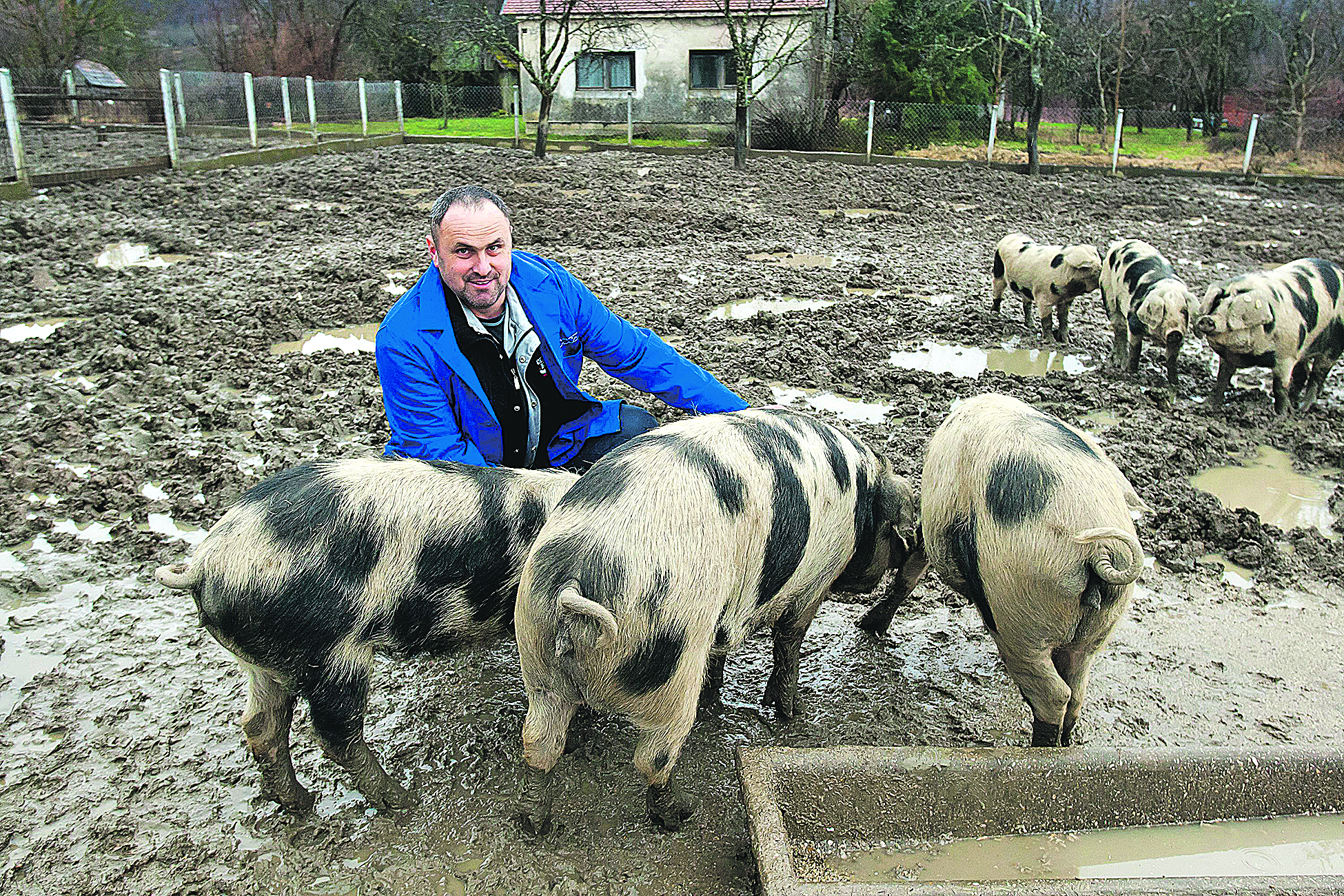 horvat_zeljko4-060317