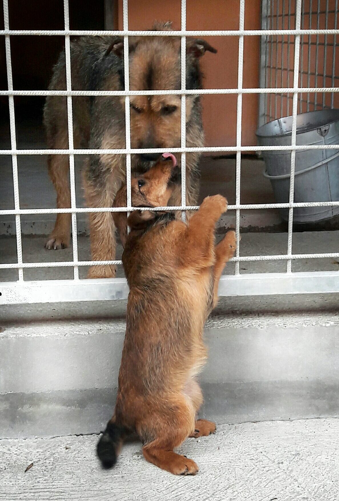 17269133_1283478825078575_373845112_o