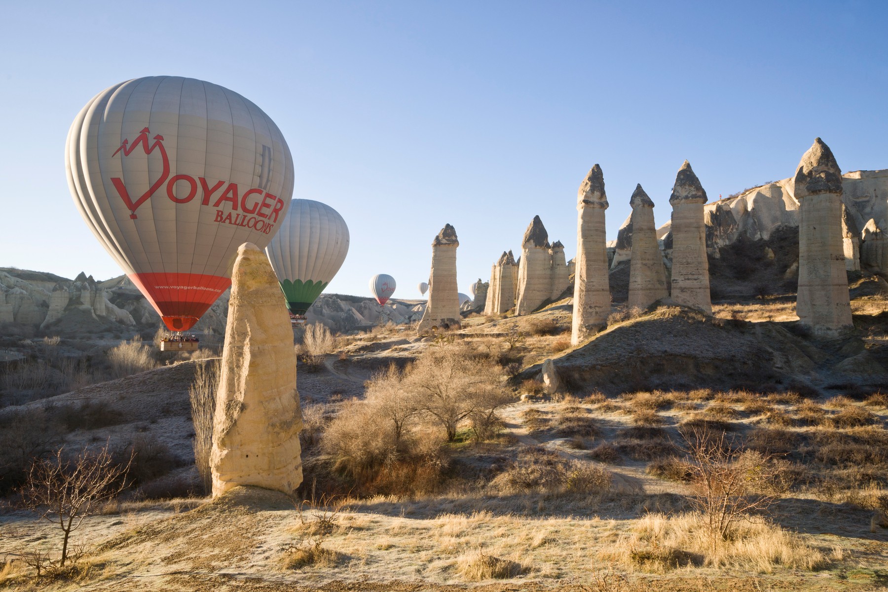 profimedia-0193766061_2