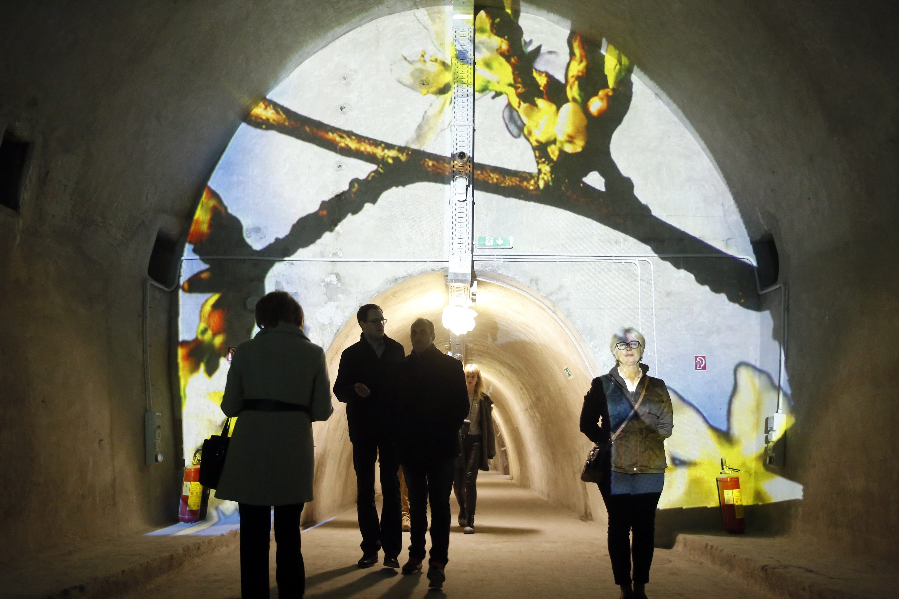 fest_svjetla3-160317