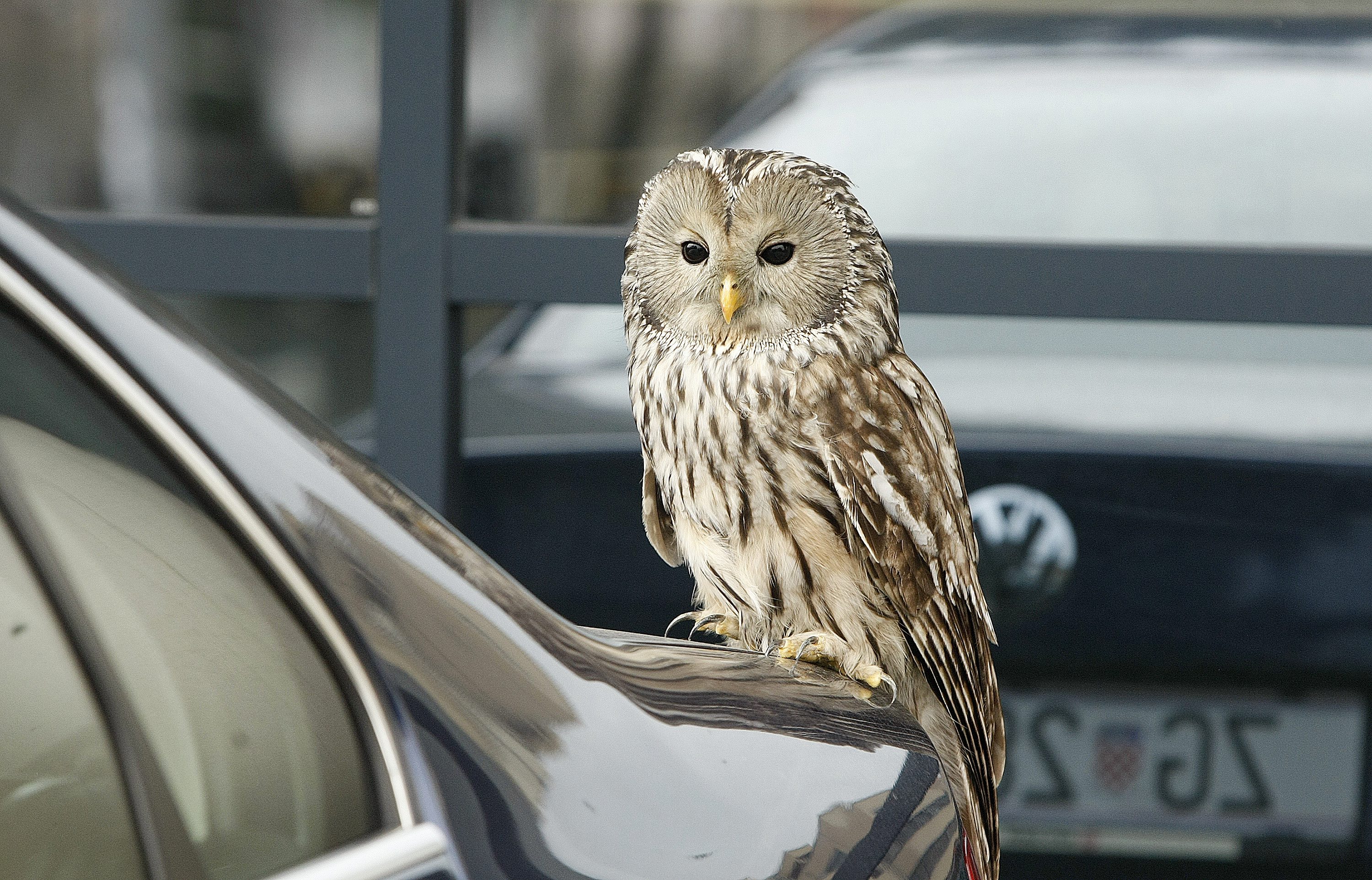 10-2015_CROPIX_izbor40