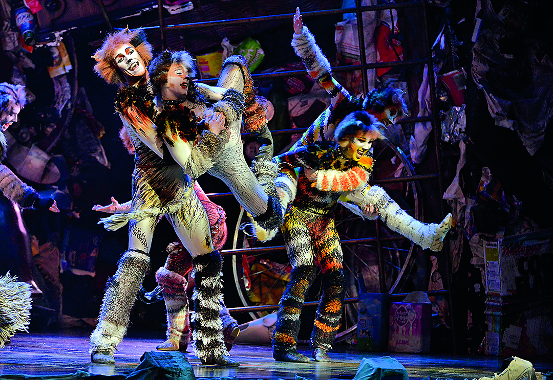 114245-146577-636258677072526447cats_mjuzikl17-220317