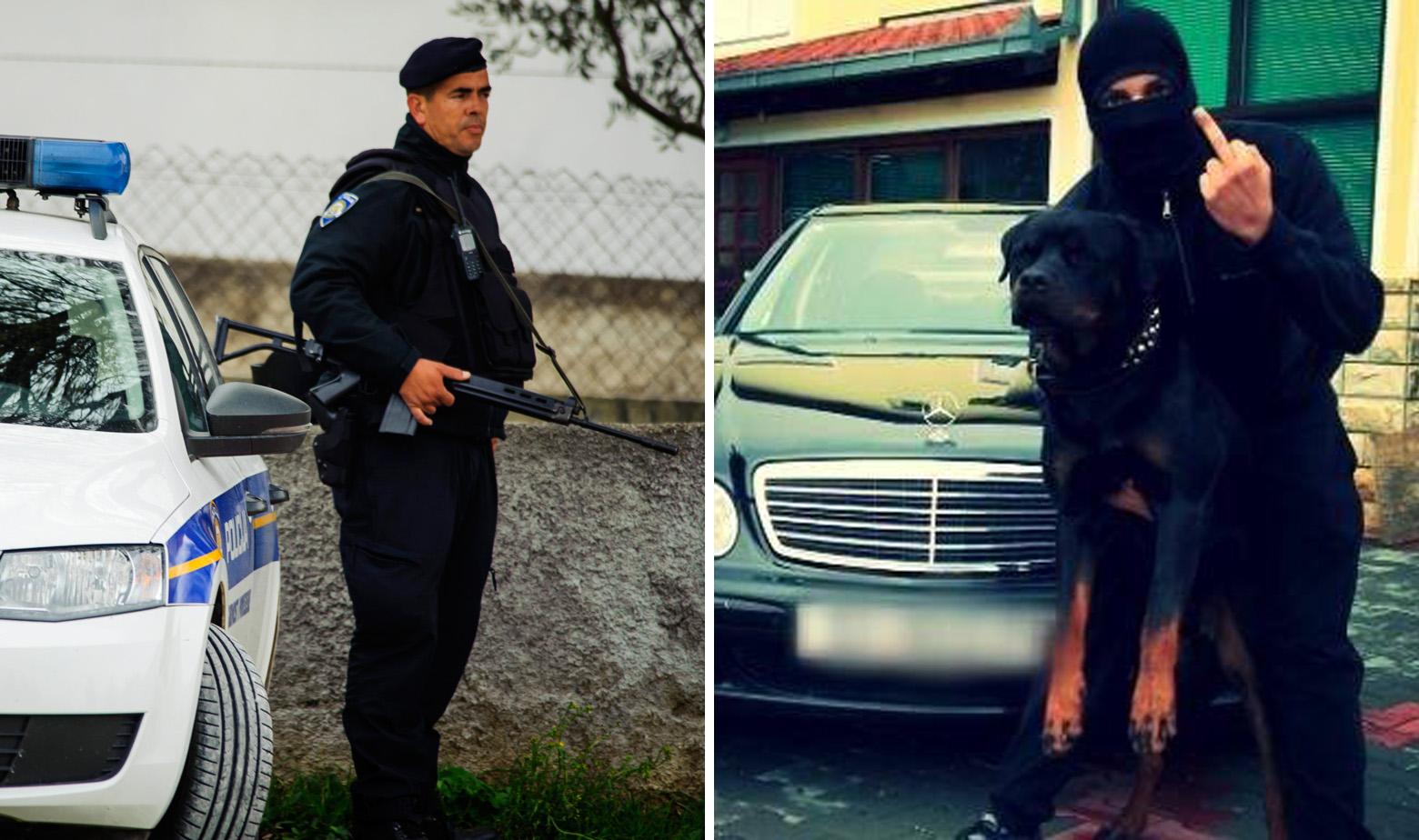 Šunjerga policija