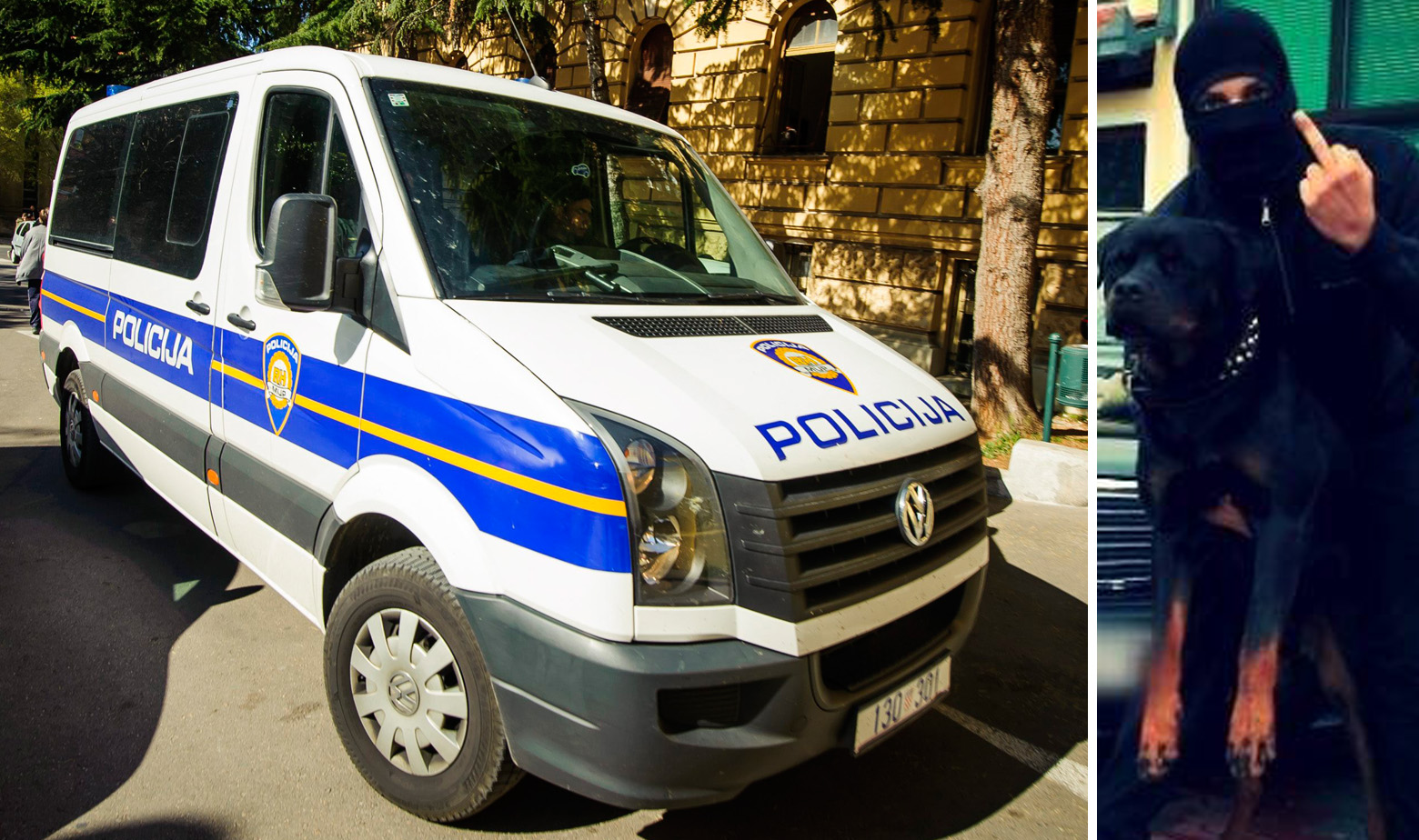 Šunjerga privođenje