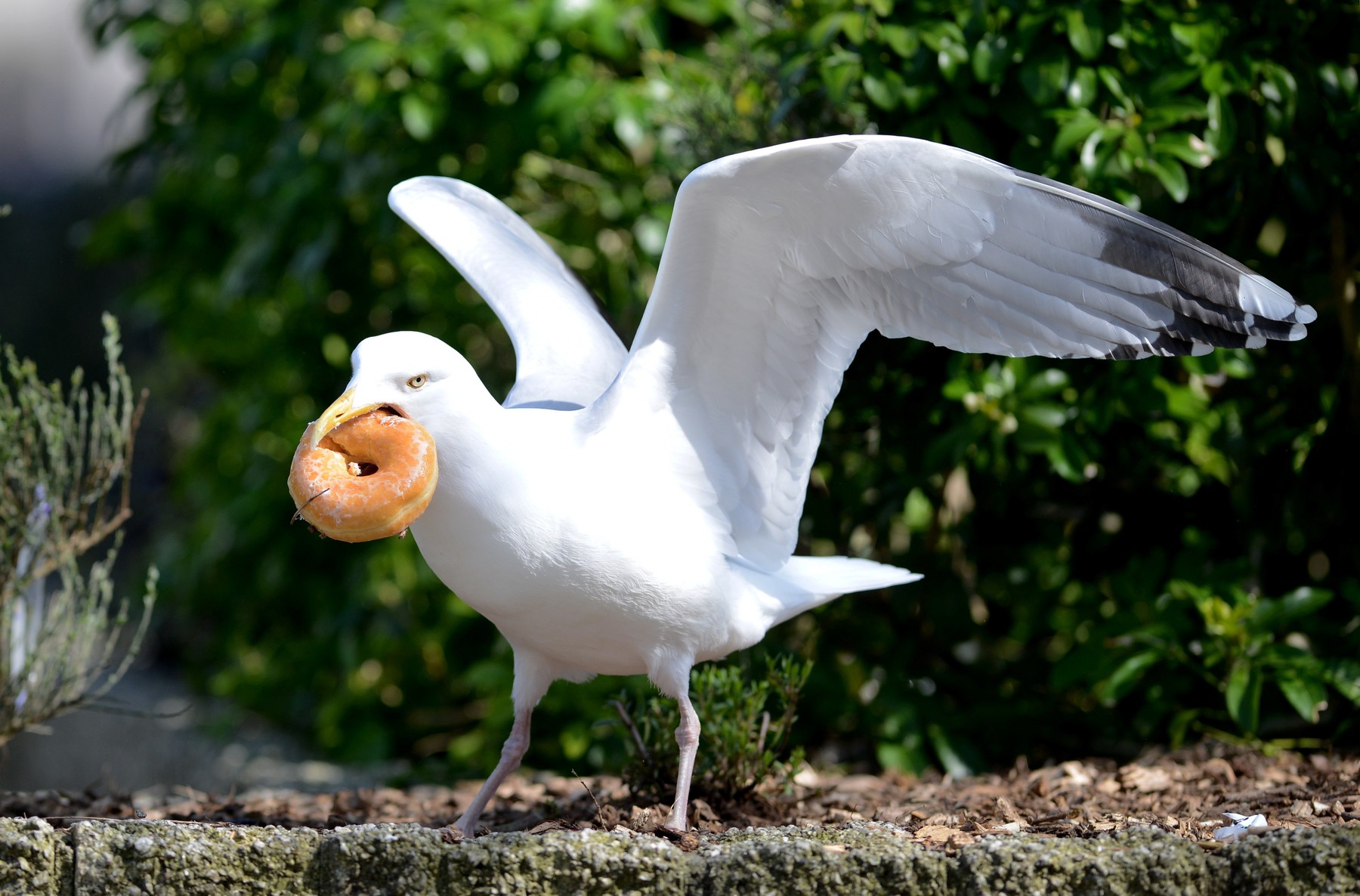 profimedia-0326790180