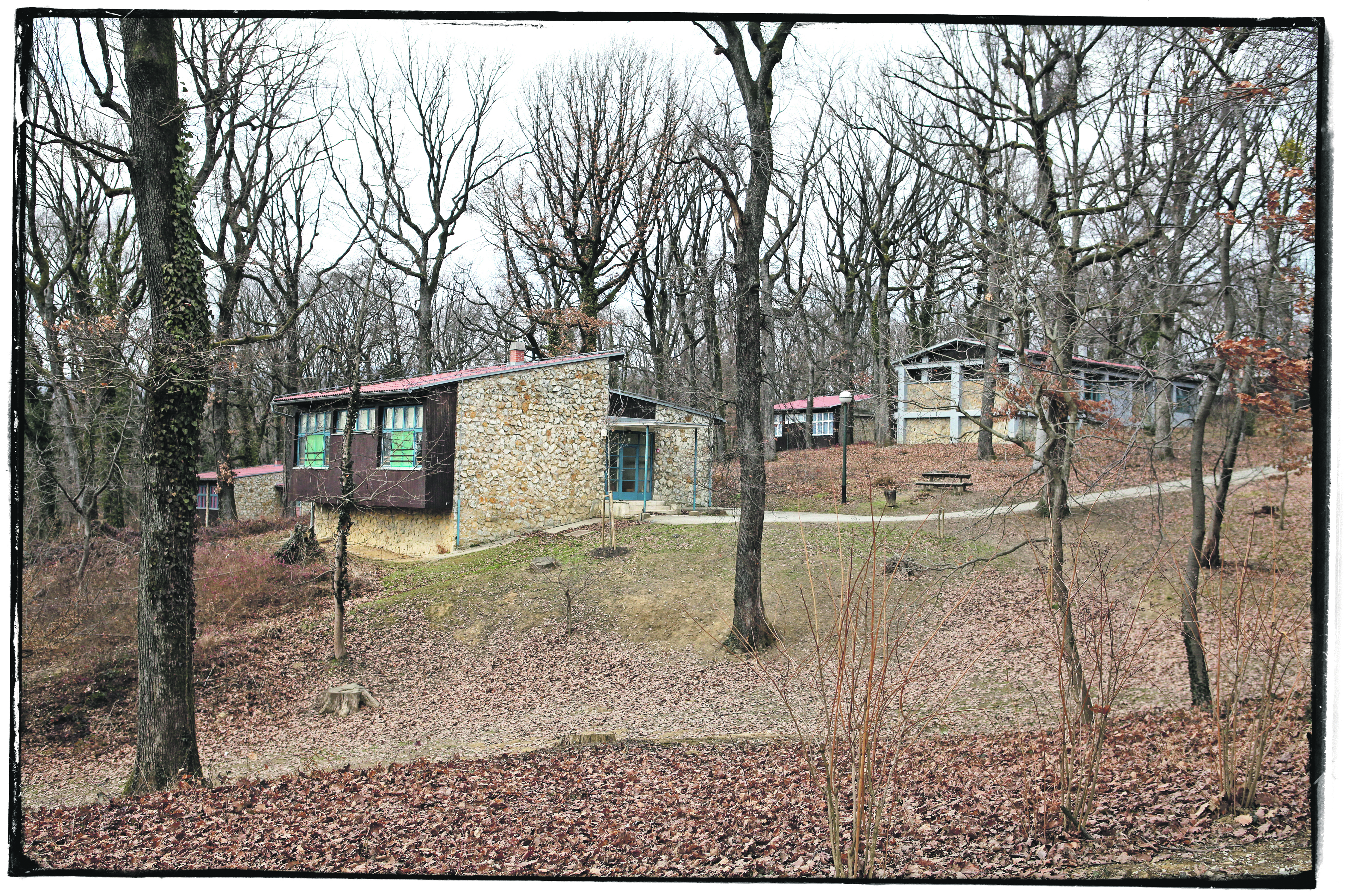 grad-mladih--20170223-0094