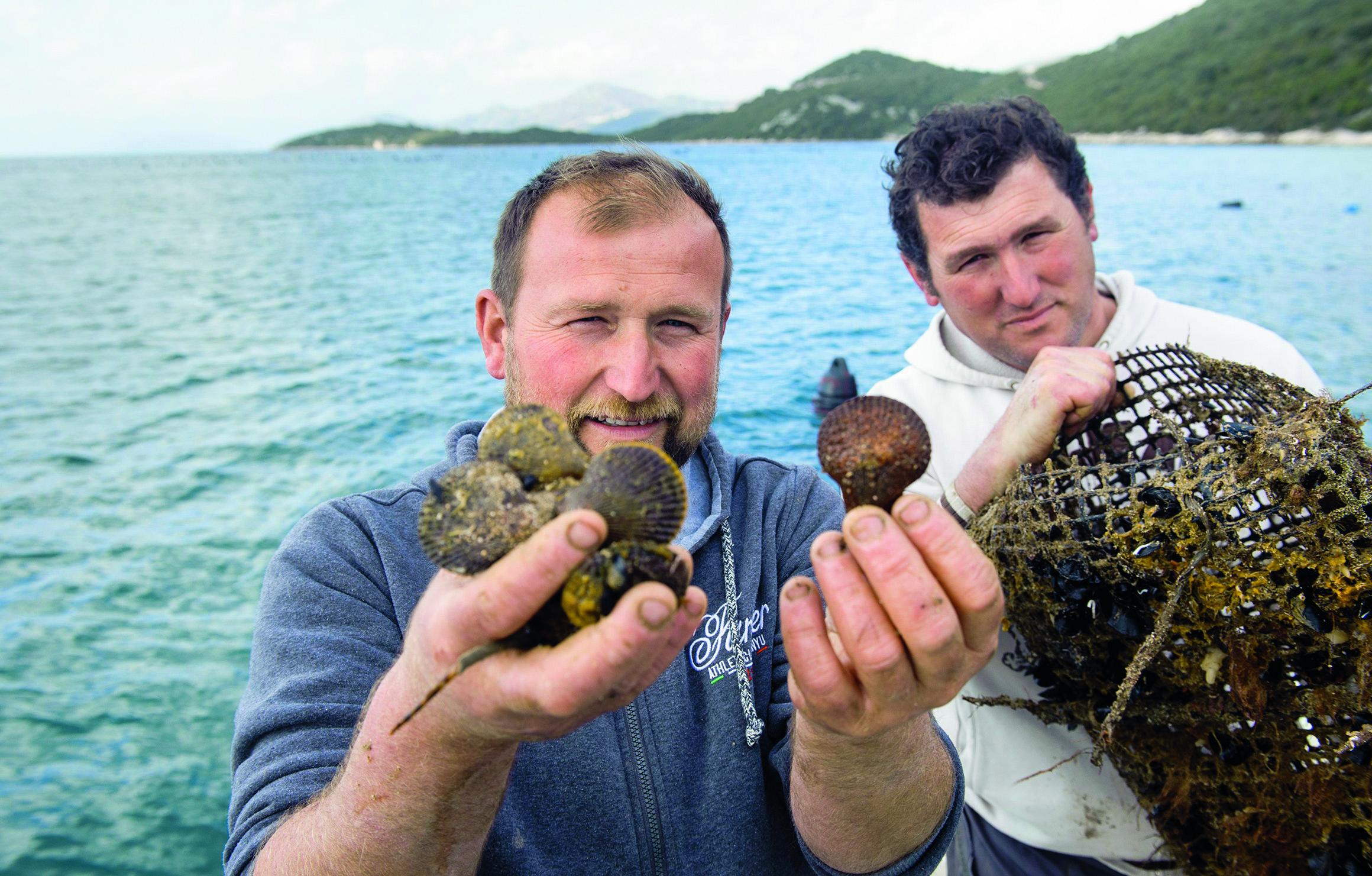 skoljke-lazic55-010317