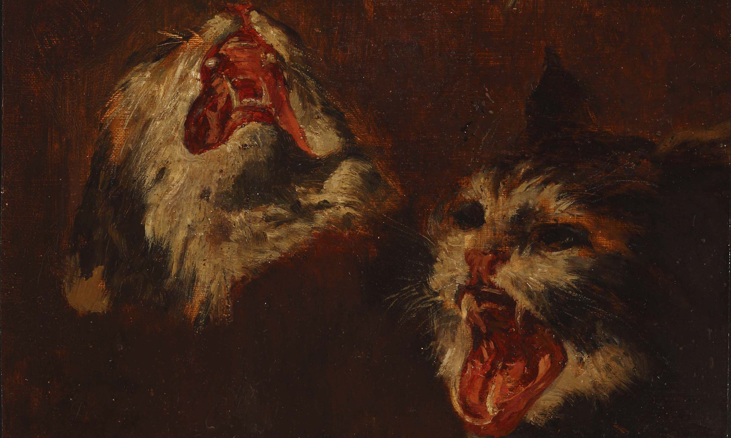 Iso Kršnjavi: Studija mačjih glava