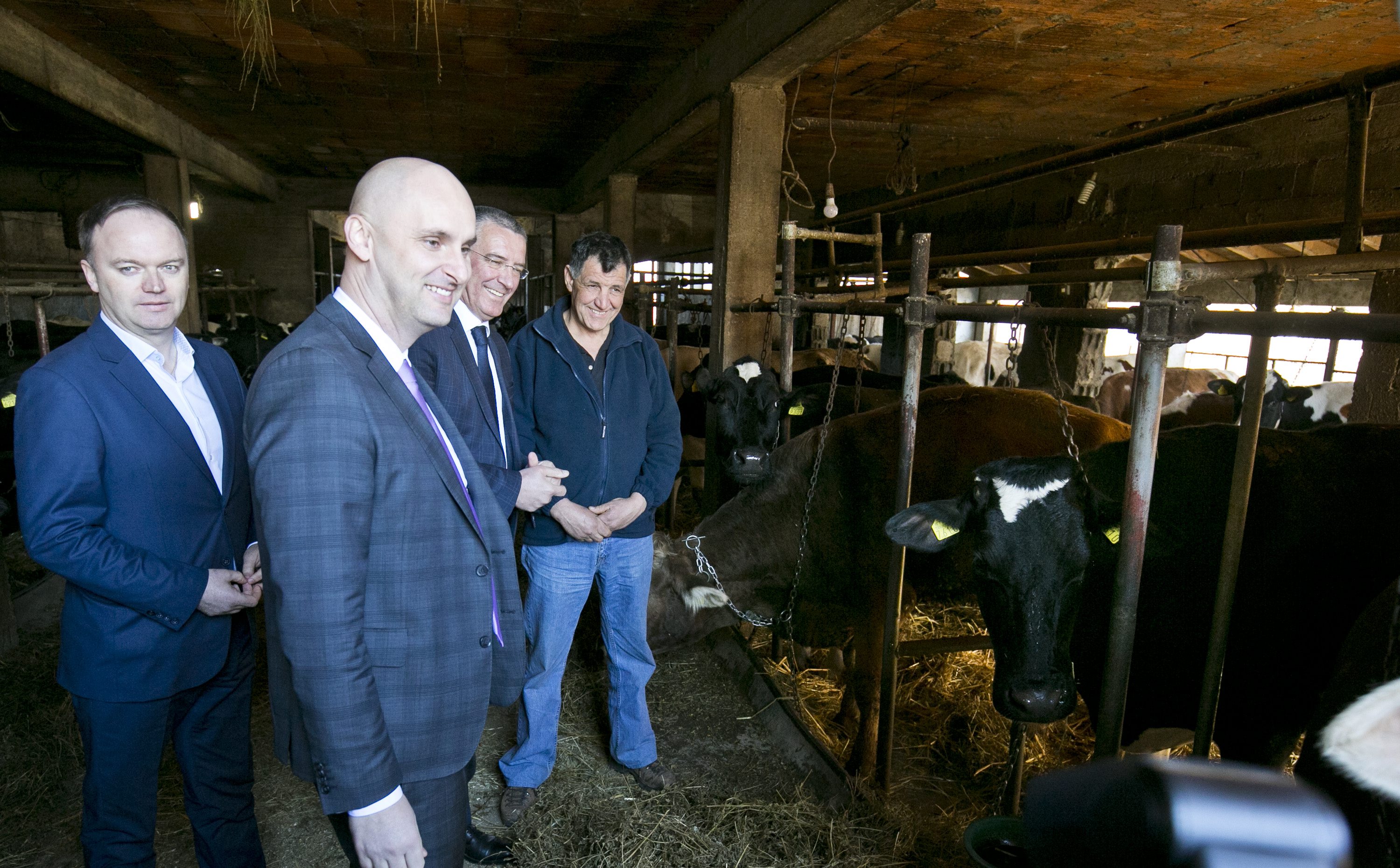 tolusic_sinj4-200217