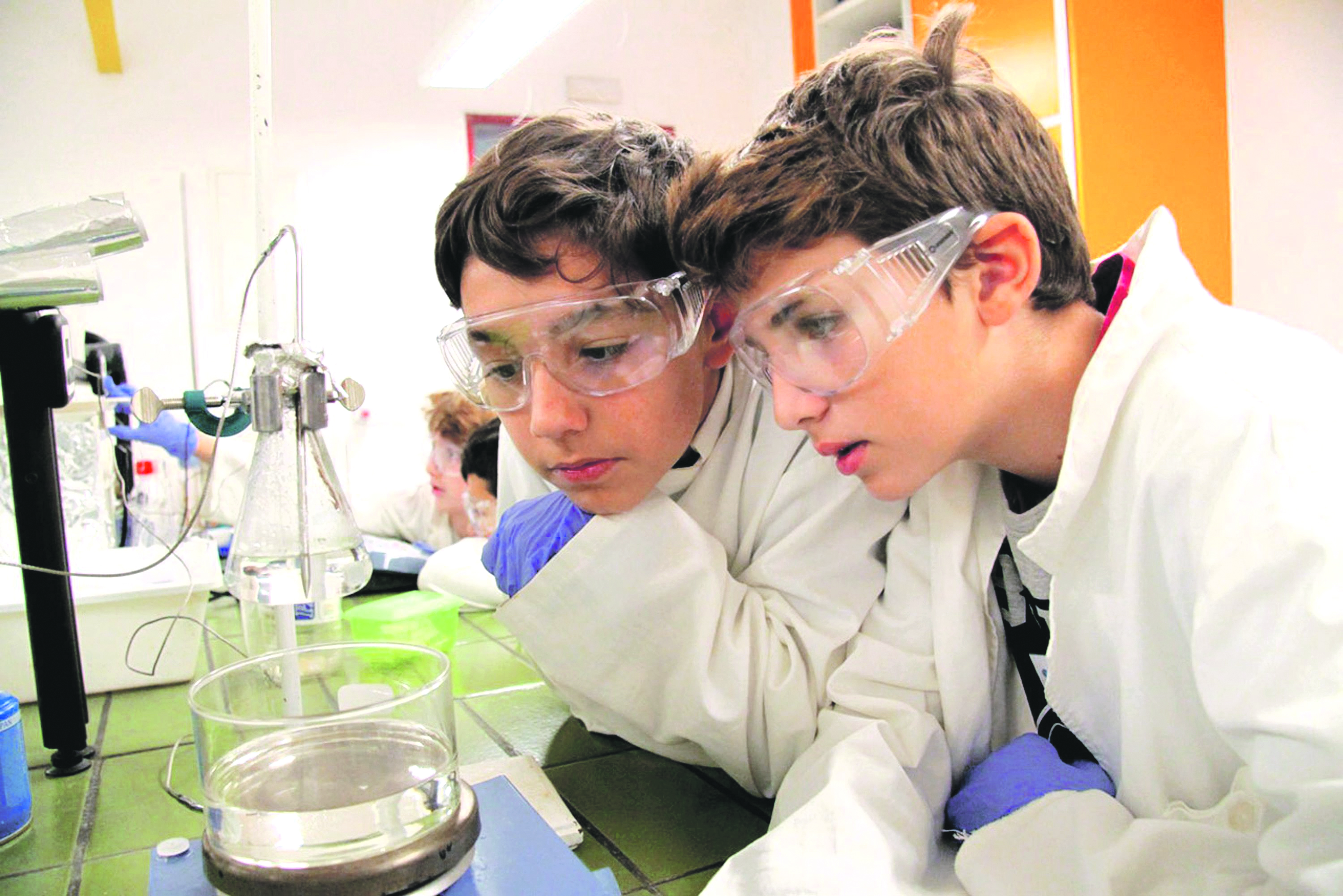 114485-148617-korado_korlevic12-181116