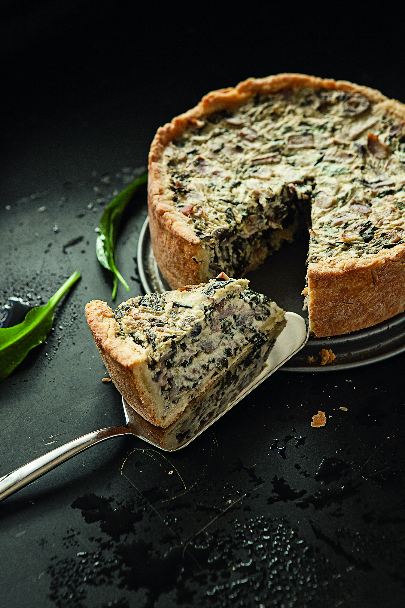 medvjedji-luk-03292017010