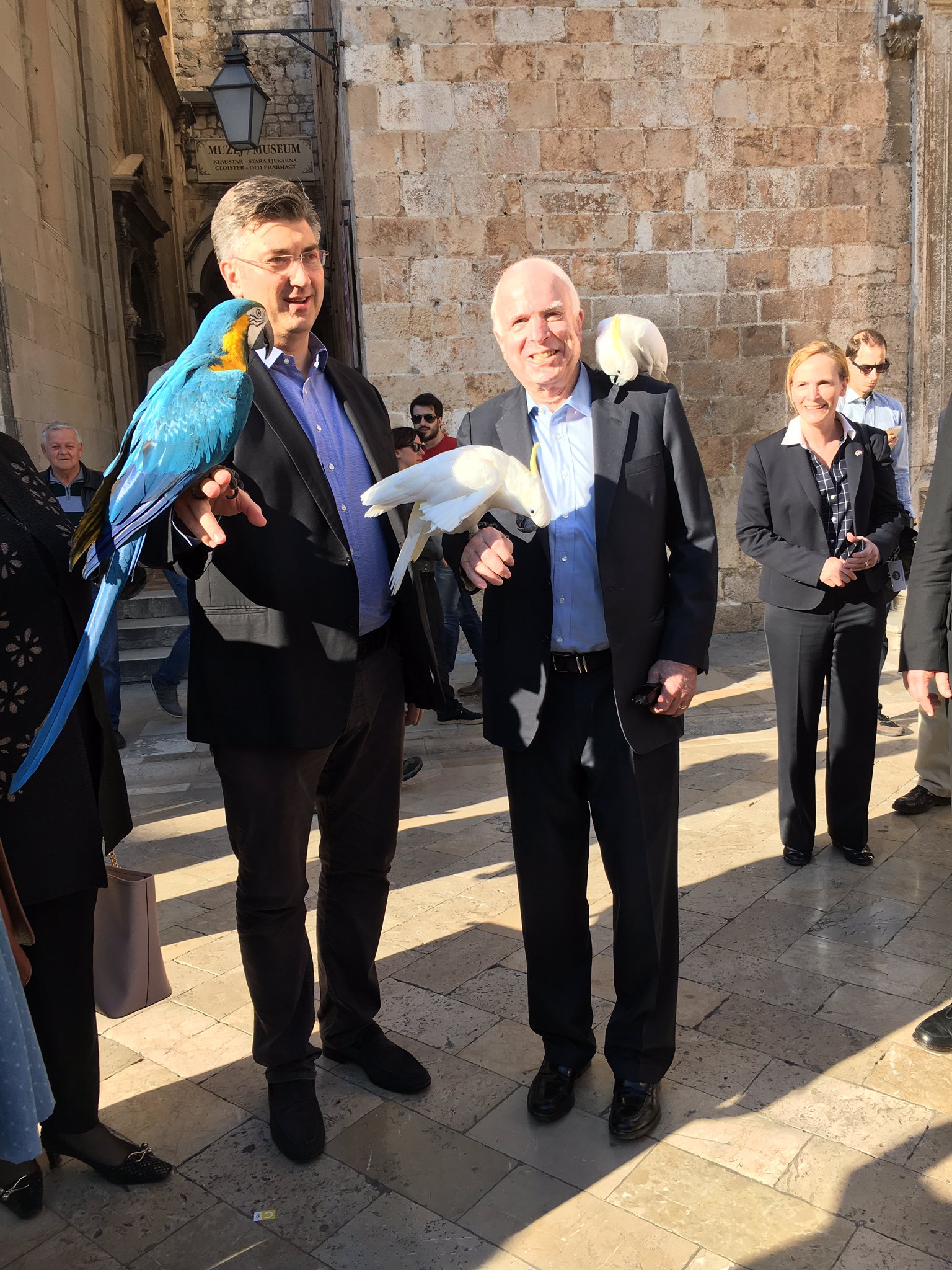 C9DgAByXcAAknuO.jpg large