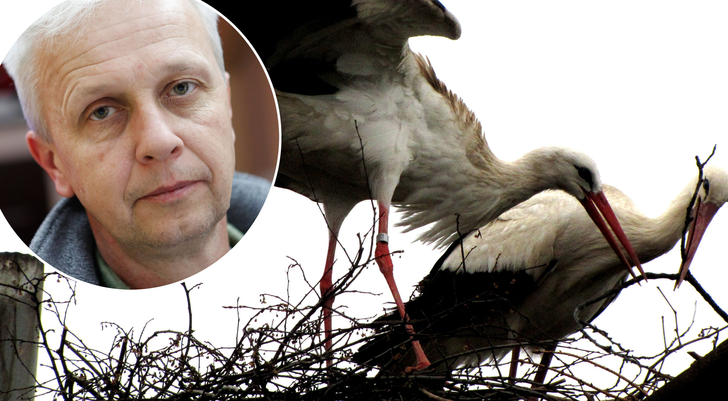 Nenad Šetina (u krugu)