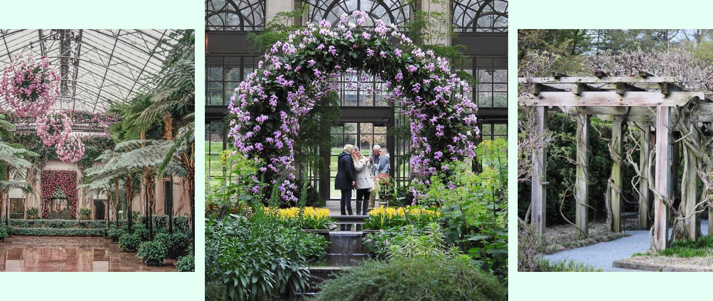 zeleni instagram_cover