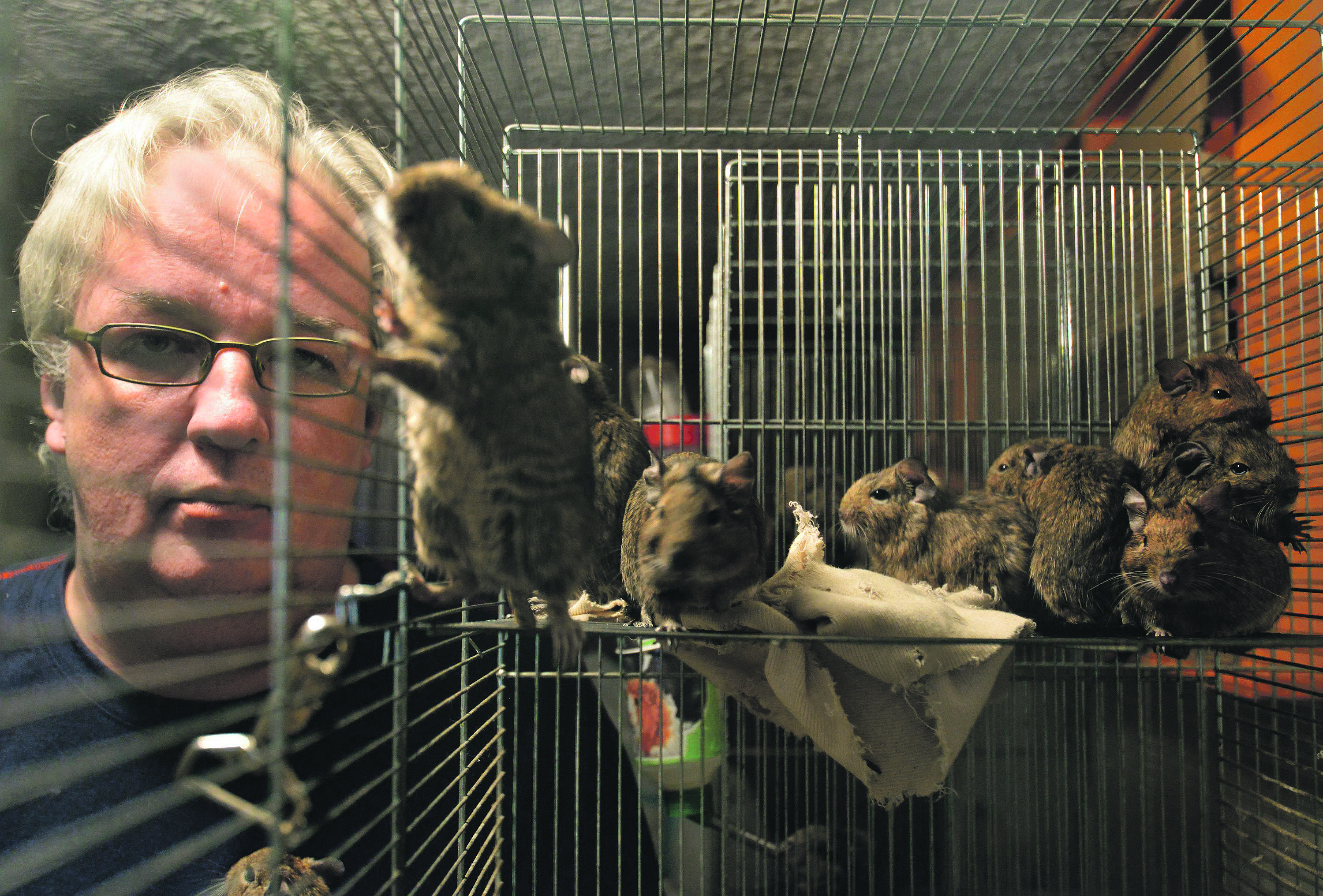 119039-152597-peric_vjeverice1-241116