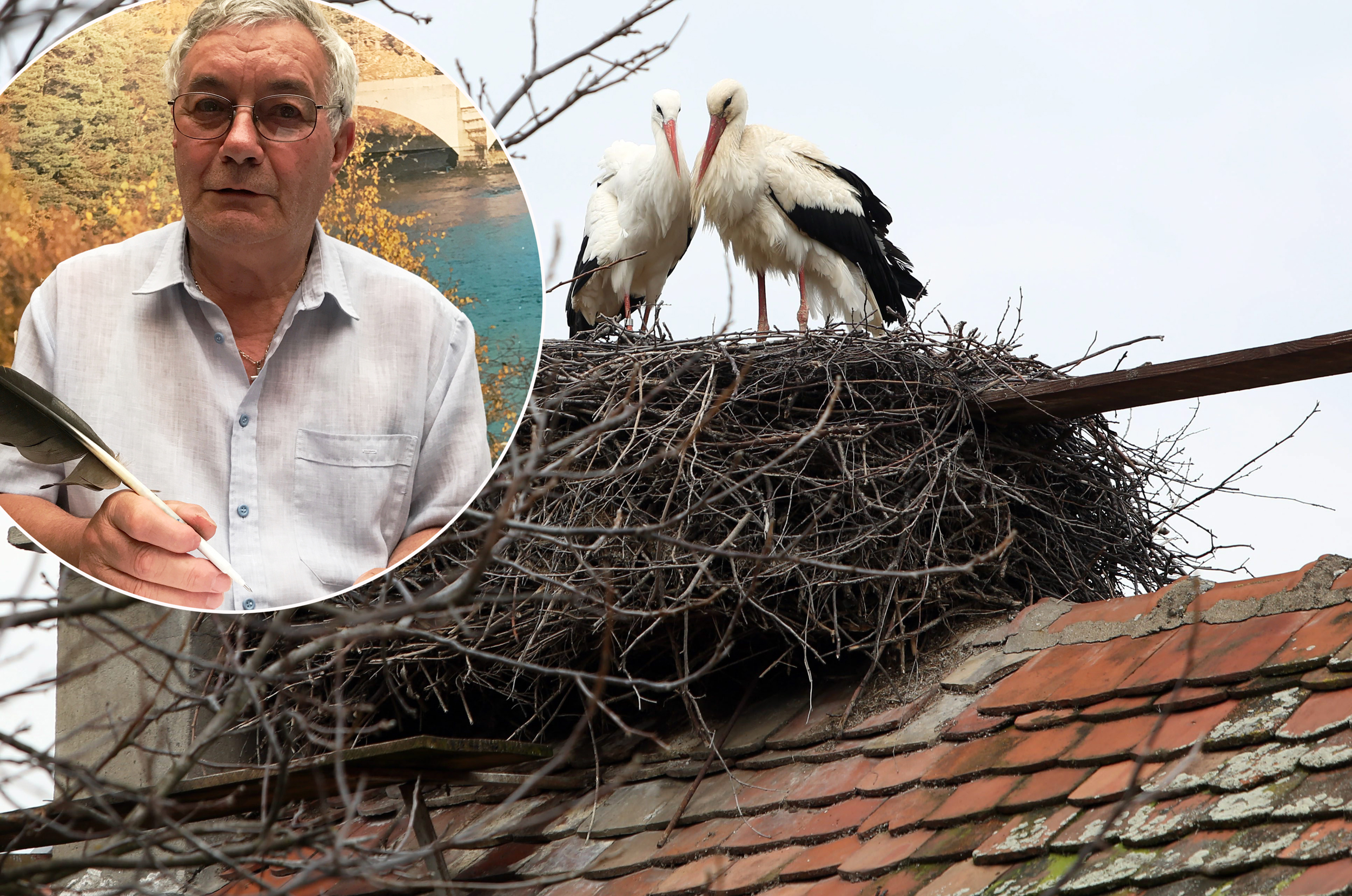 stjepan-vokic-klepetan-male