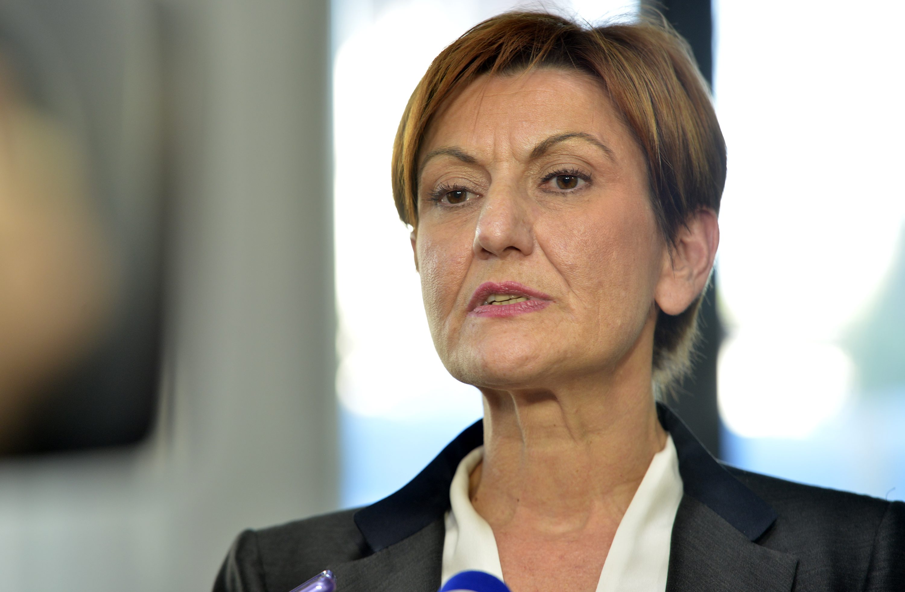 agrokor_izjave5-100417