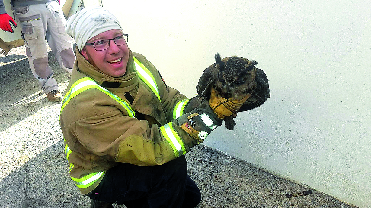 116423-149300-17636957_1232745663461333_350751015127863356_o