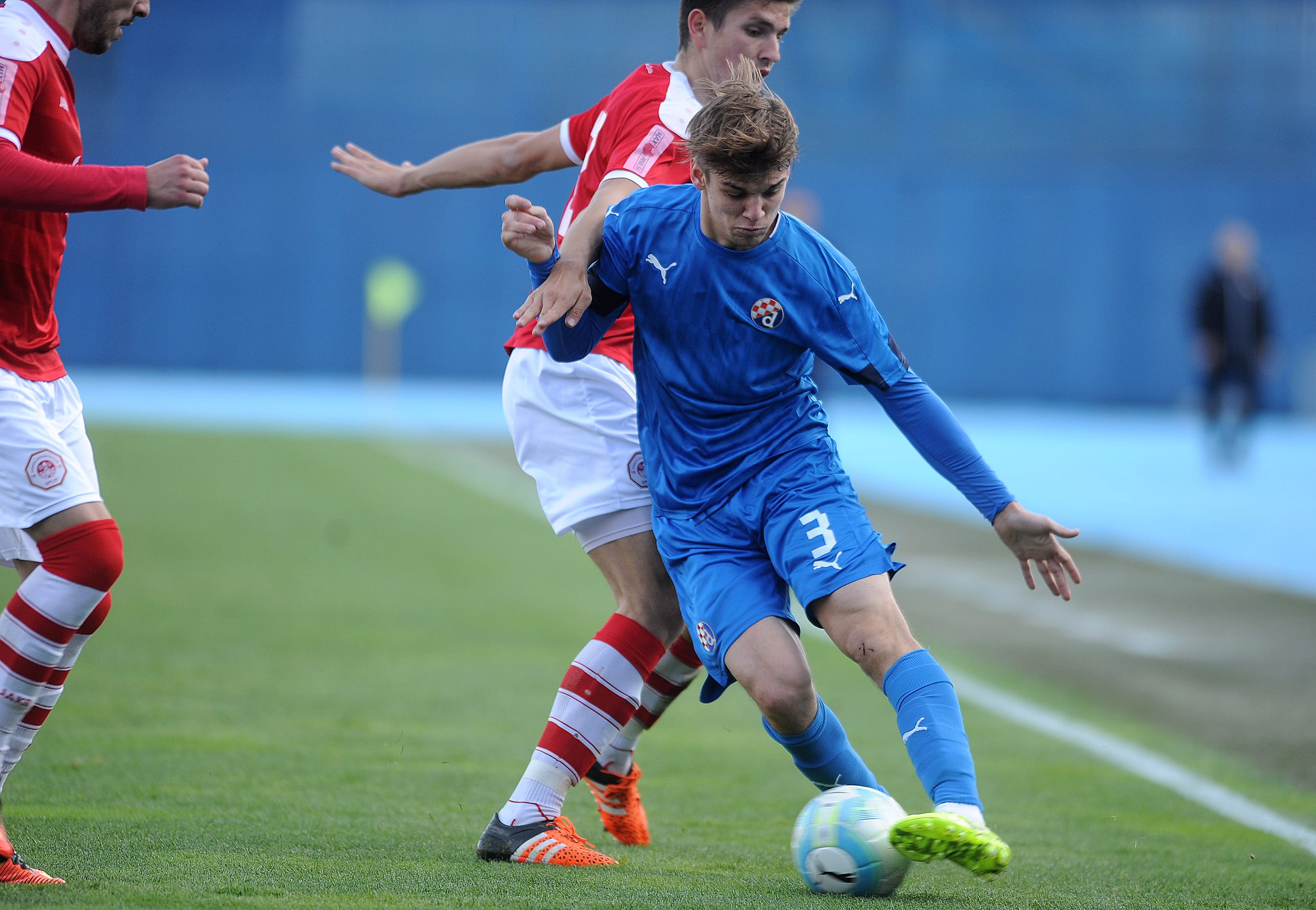 dinamo_split06-110317