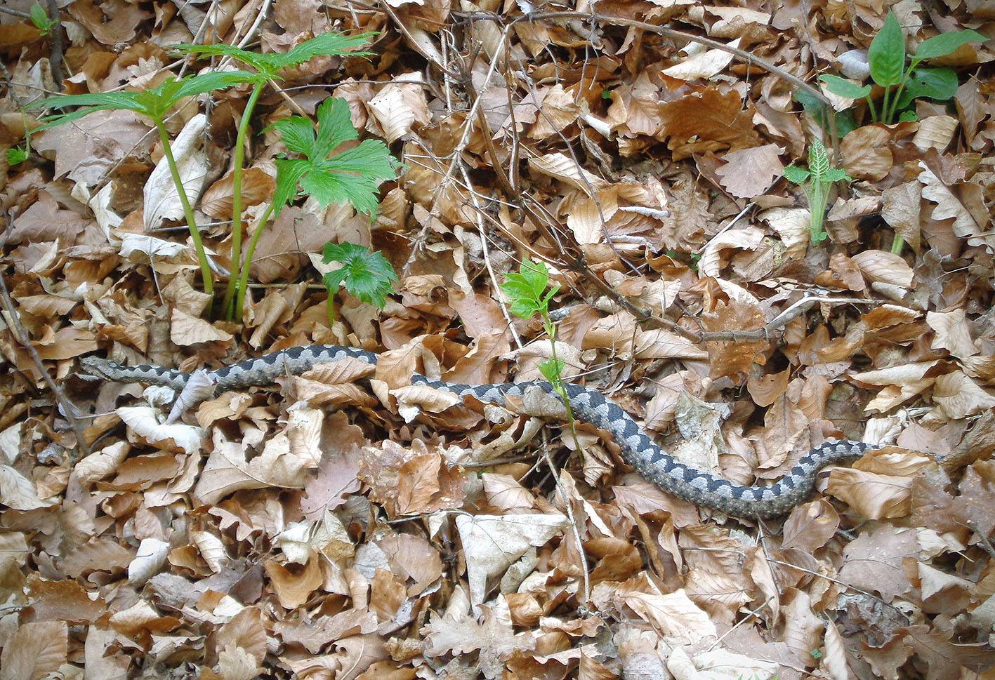 17434549_10154945584201815_5749505241854634678_o