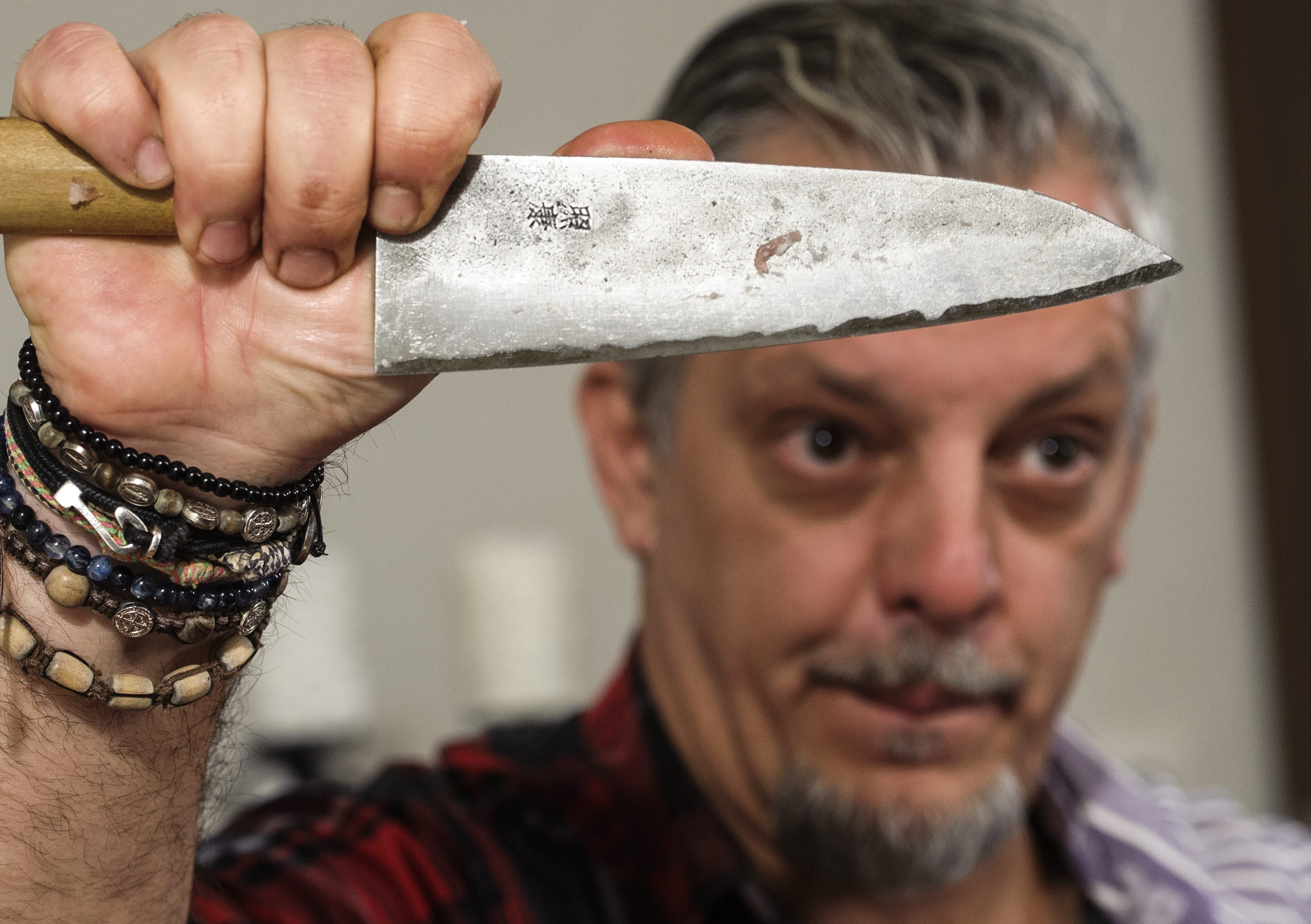 zmire_susnjara23-051216