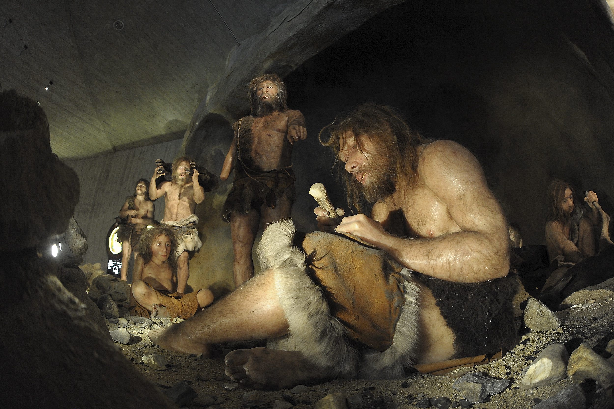 muzej_pracovjek6-080210