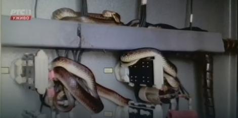 k_1ktkqTURBXy9lMTE3YWUzZWRjMDAwNWY0MjQ2N2RlOTM3MzcwZjE0YS5qcGVnk5UCzQMUAMLDlQLNAdYAwsOVB9kyL3B1bHNjbXMvTURBXy8xZDc0Y2I0MTcwNTk1MDQzNjYyOWNhYmQ2MDZmNTBmNi5wbmcHwgA