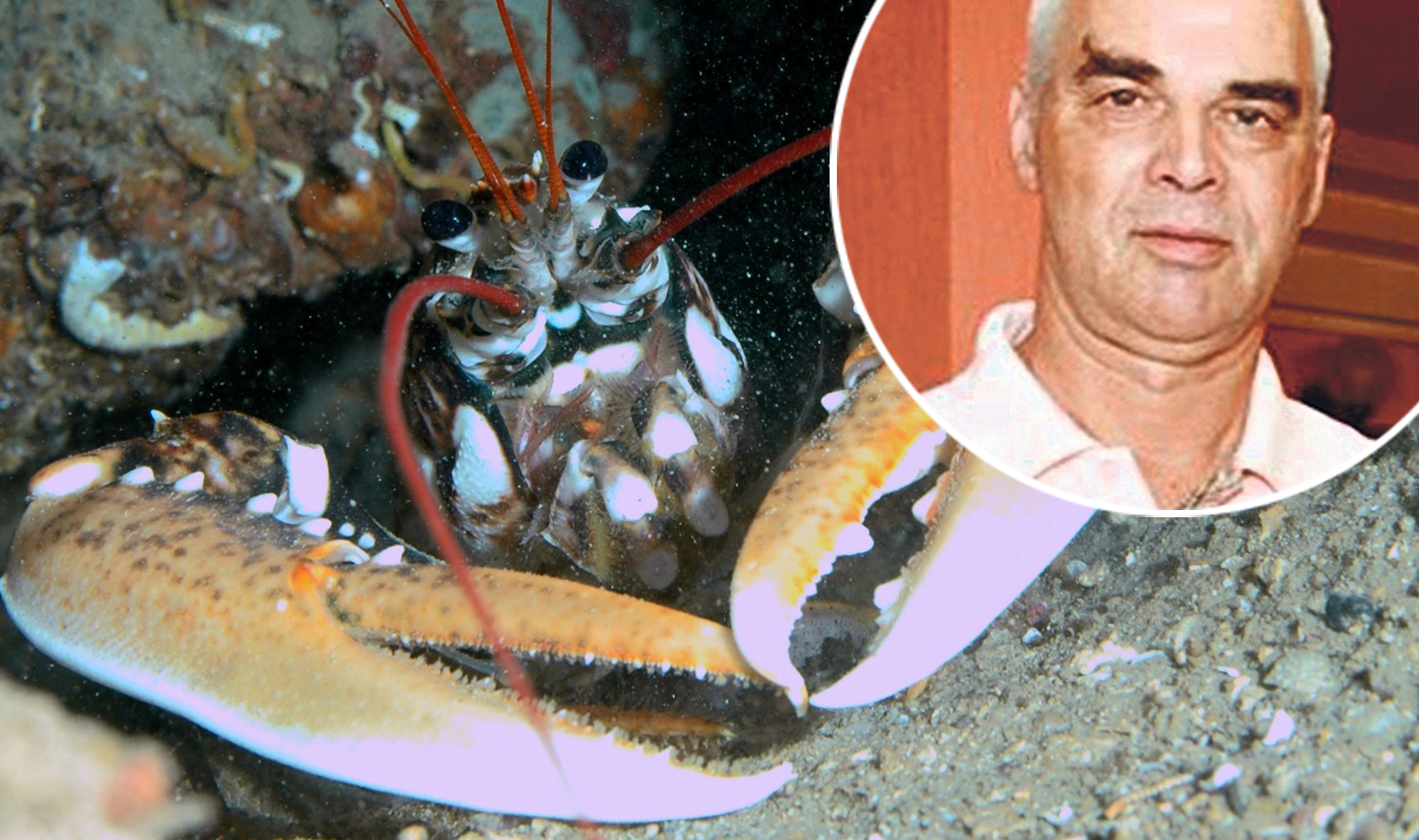 Hlap (ilustracija) i Neven Macanović u krugu 