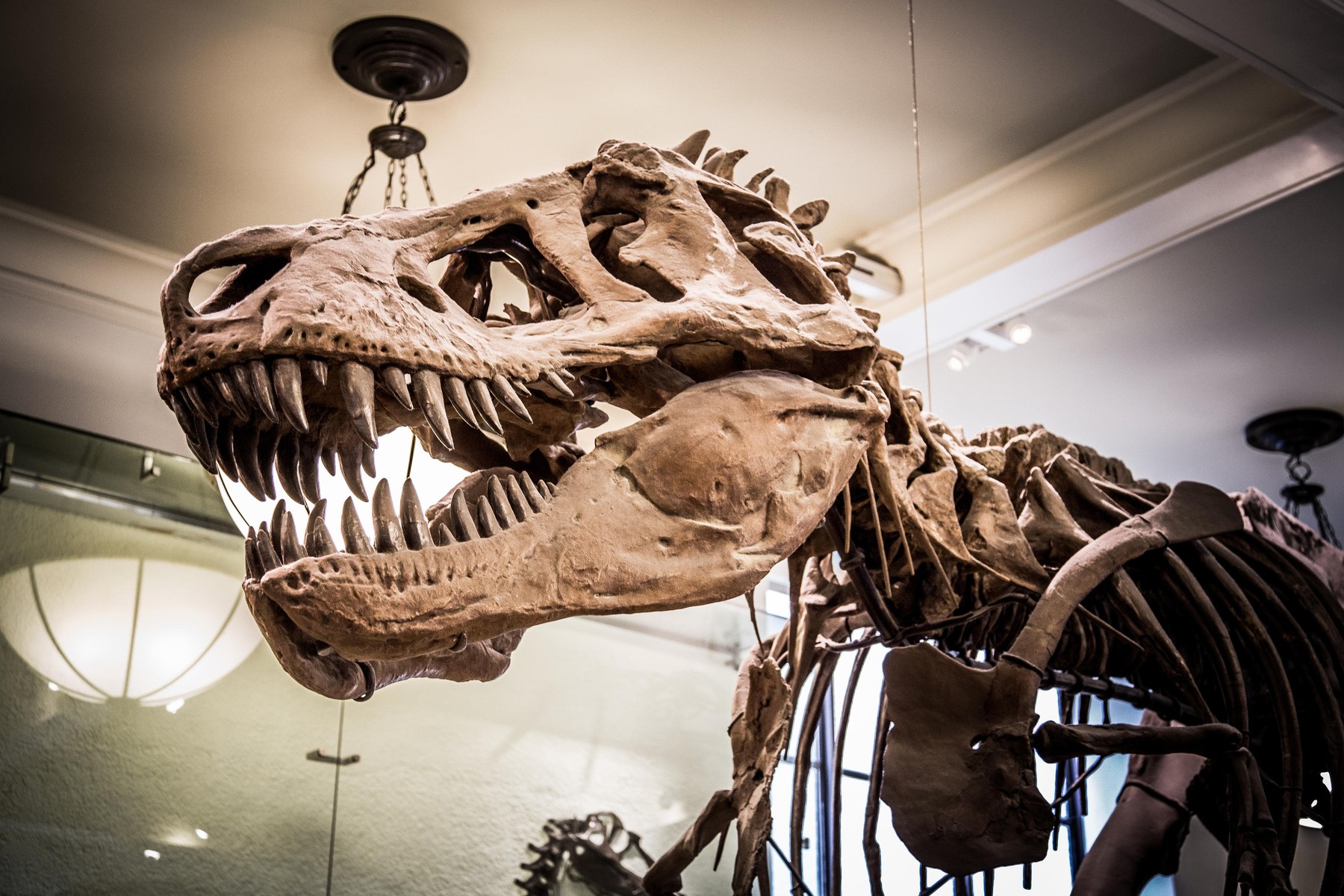 profimedia-0317922965