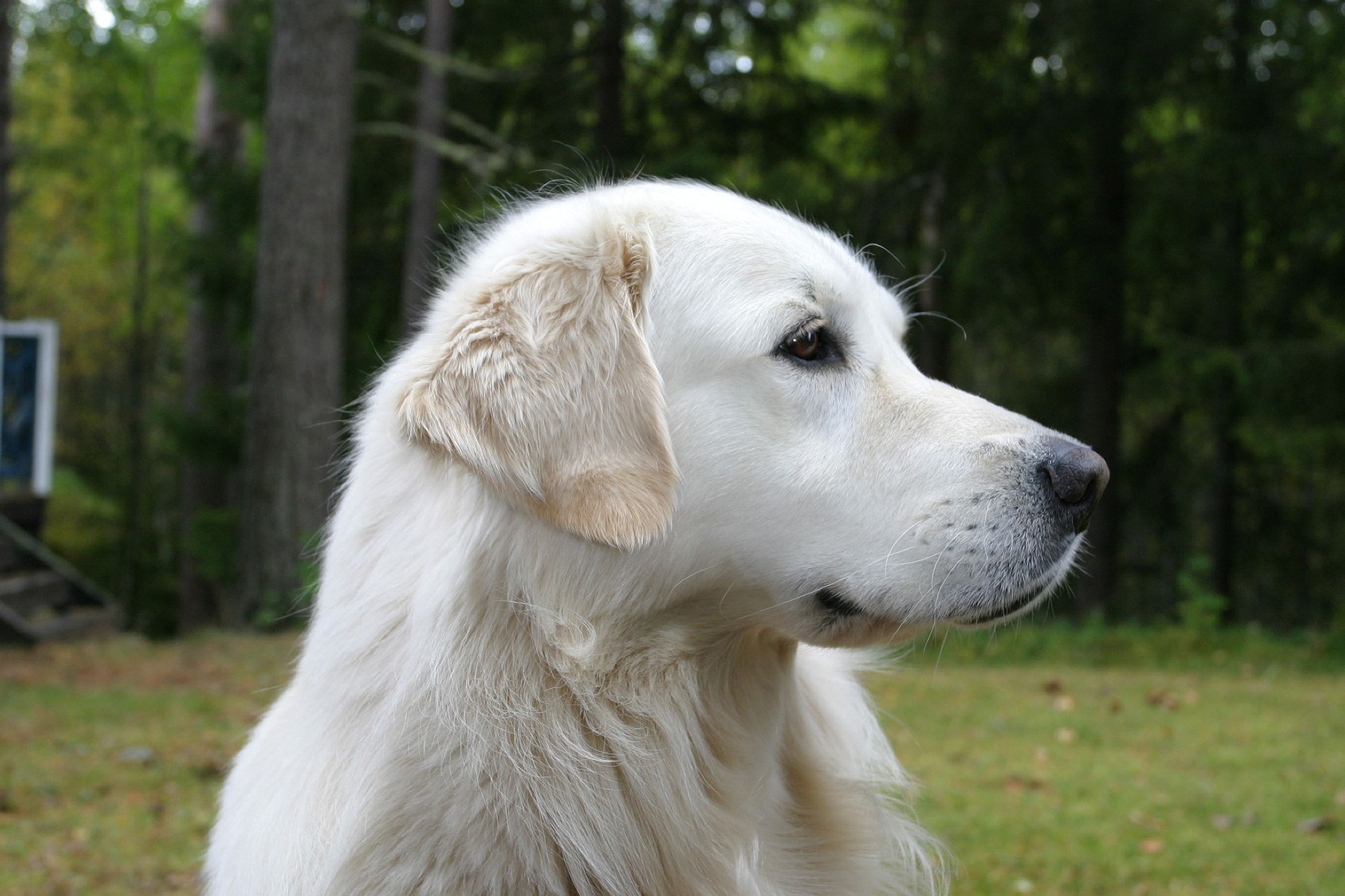 profimedia-0002214054