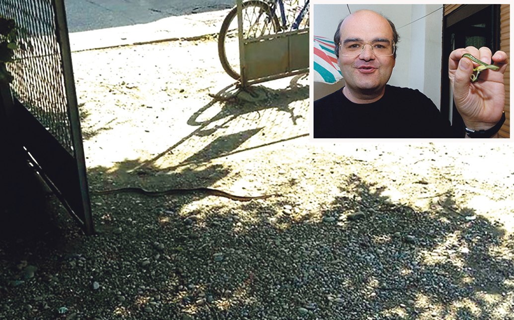 krivi-put-zoran-tadic