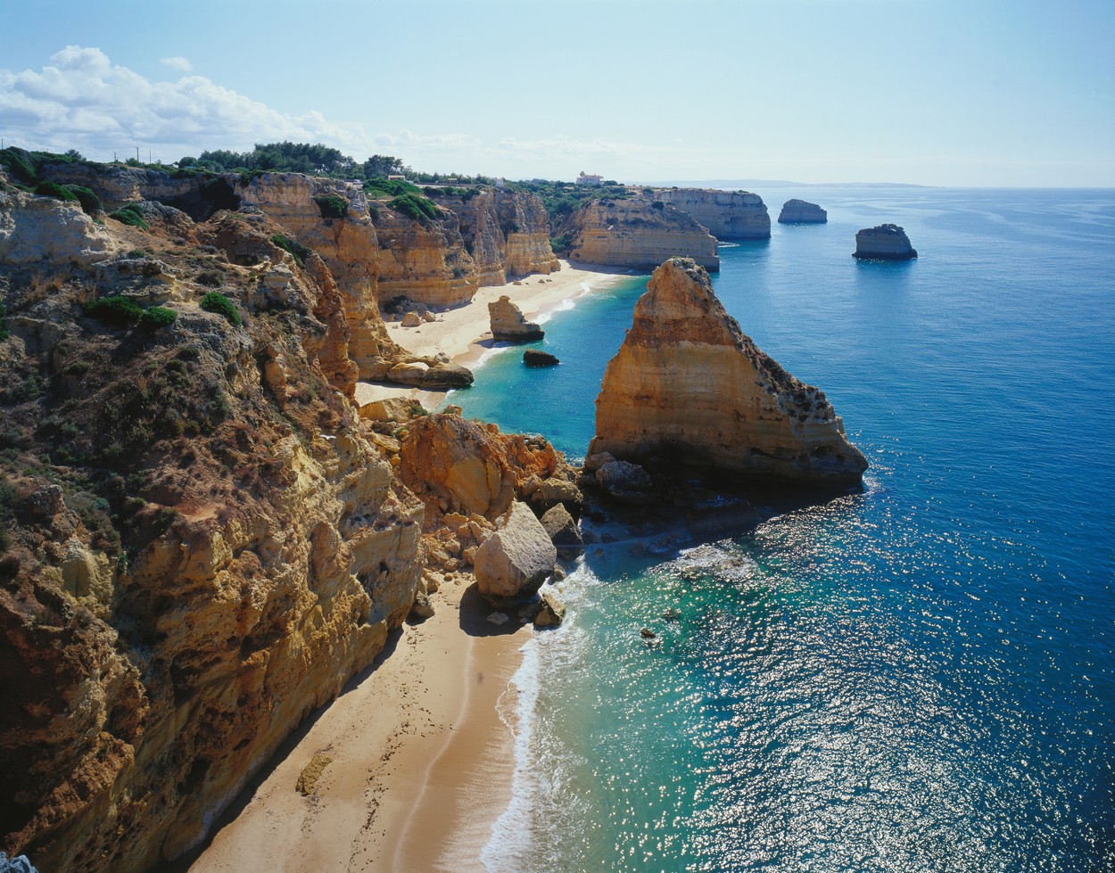 profimedia-0081901403