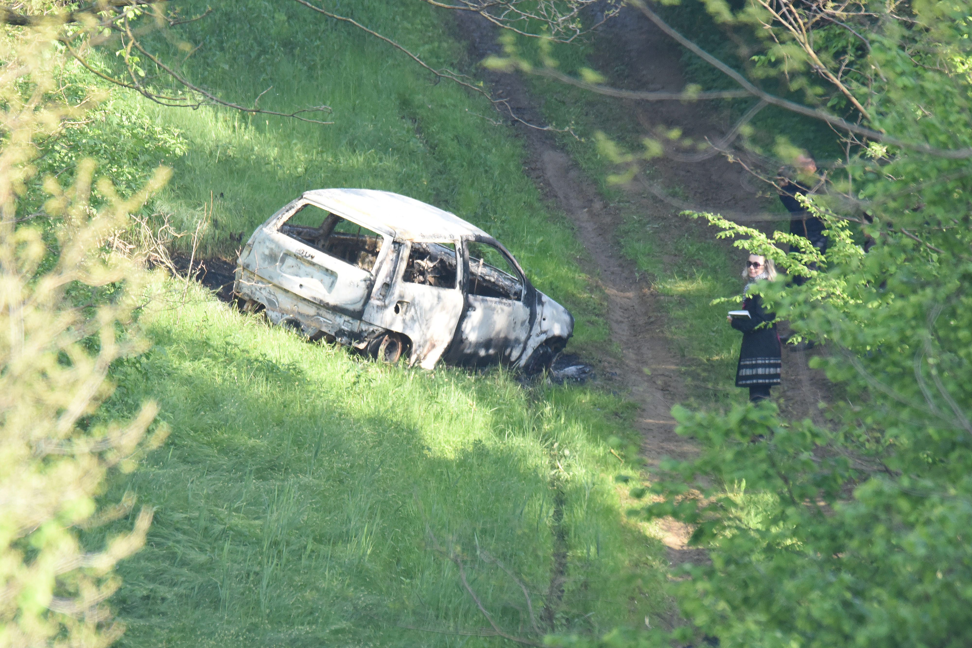 strukovec_auto2-030517