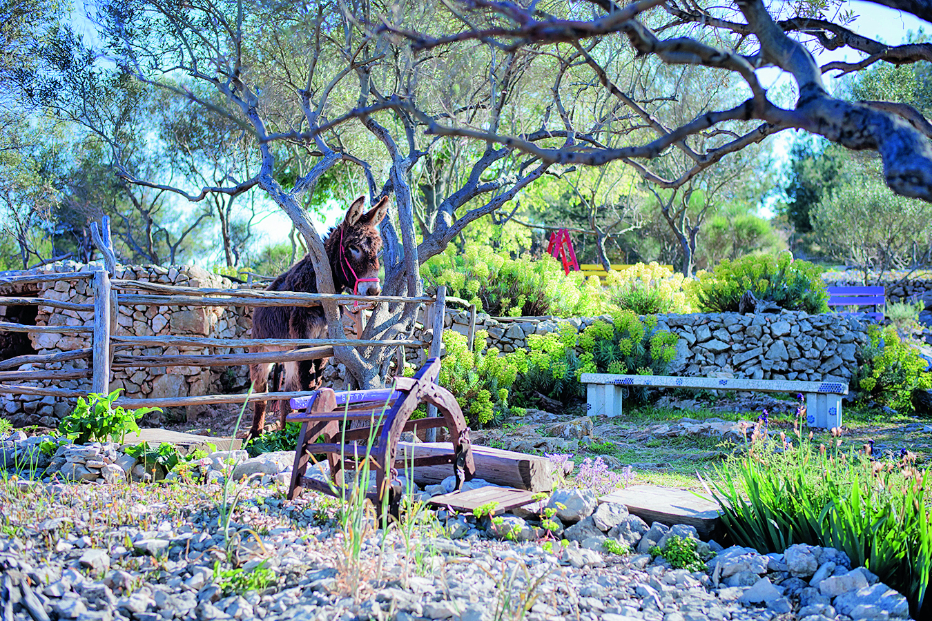 Masterclass-Ple-ivica---LHV---Photo-Dean-Dubokovi--207