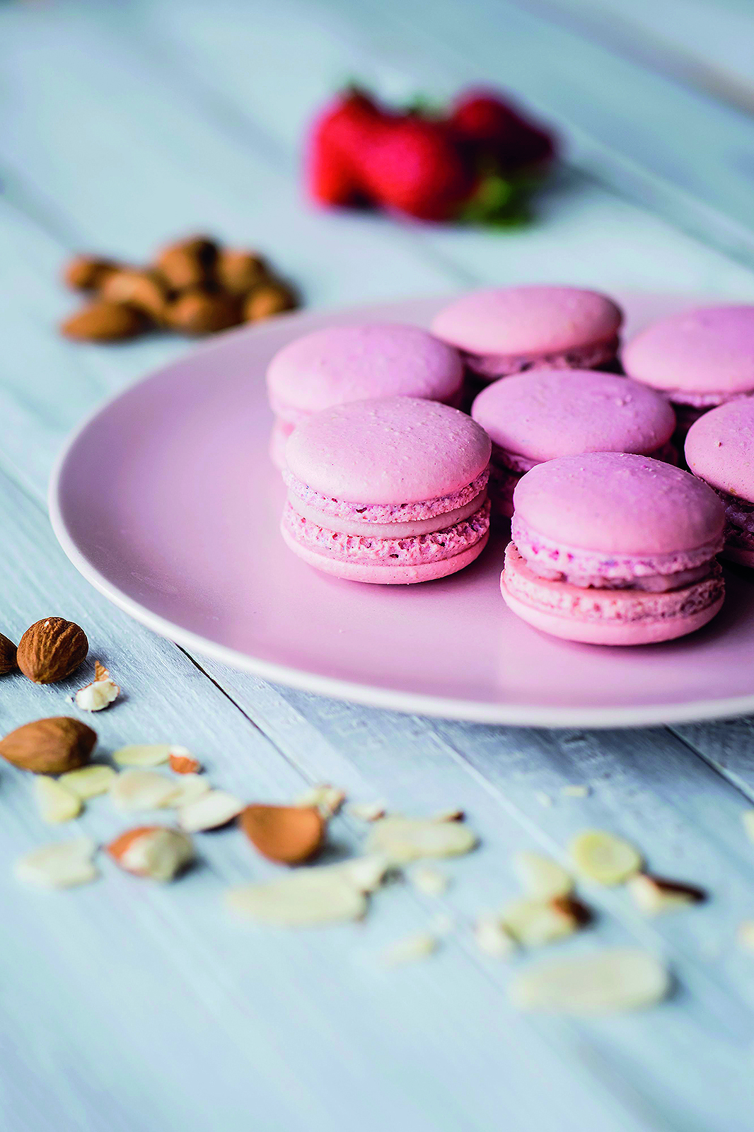 gudelj-kolaci98-250417