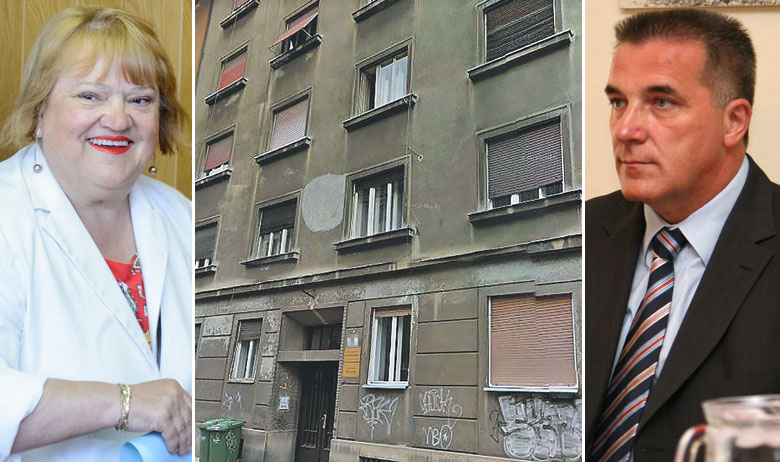 Anka Mrak Taritaš, Branislav Brizar